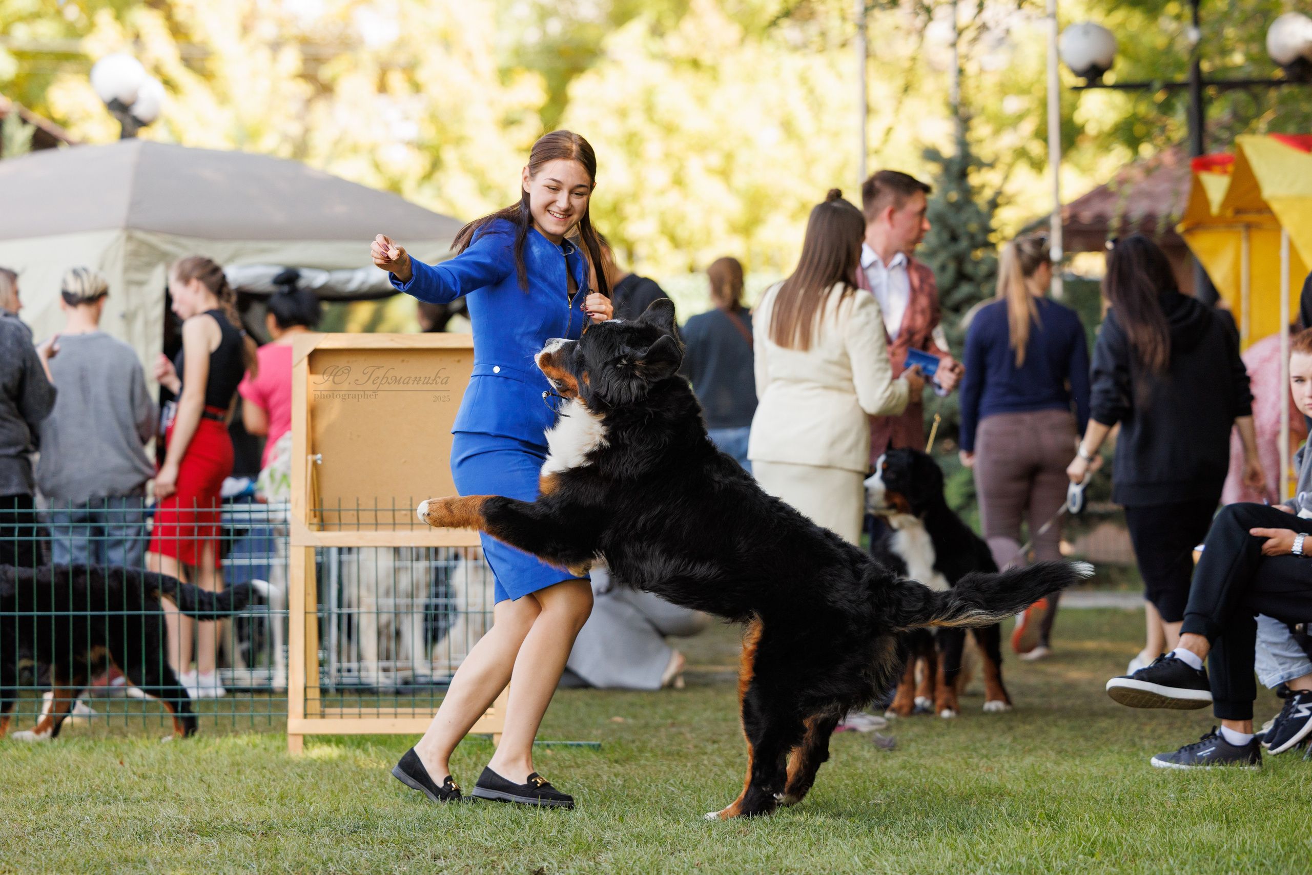Бишкек 3х CACIB 26-28.09.2025. Фотограф-анималист Юлия Германика