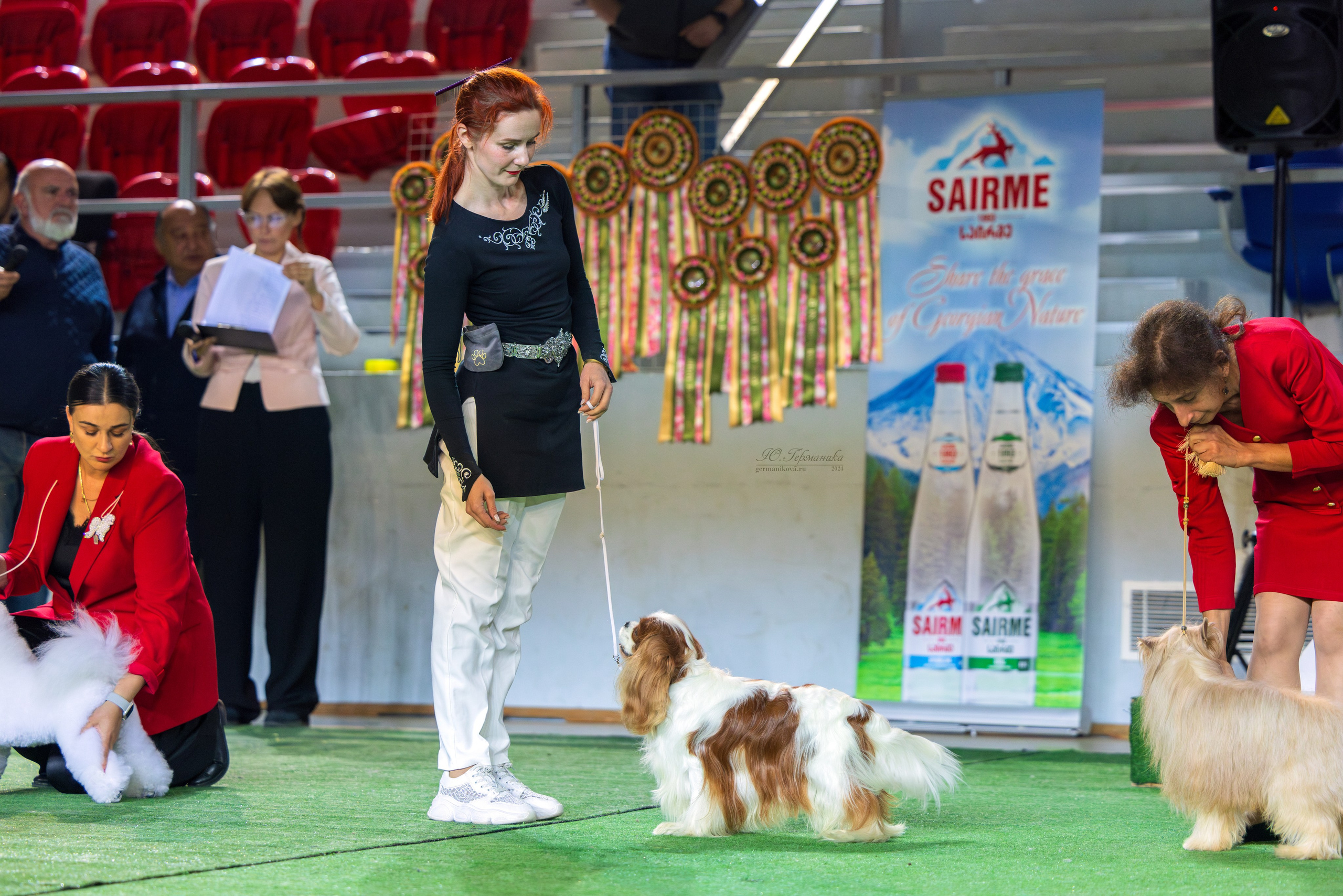 Грузия,Телави 2хCACIB 19-20.10.2024. Фотограф-анималист Юлия Германика