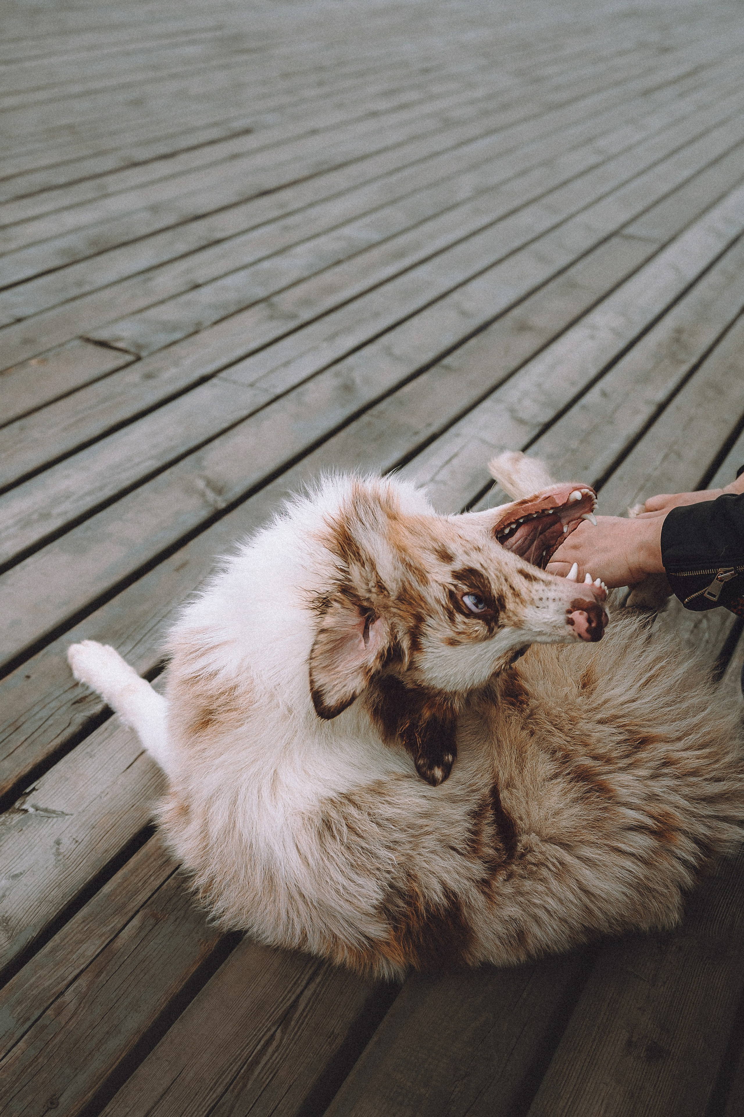 Один и его семья