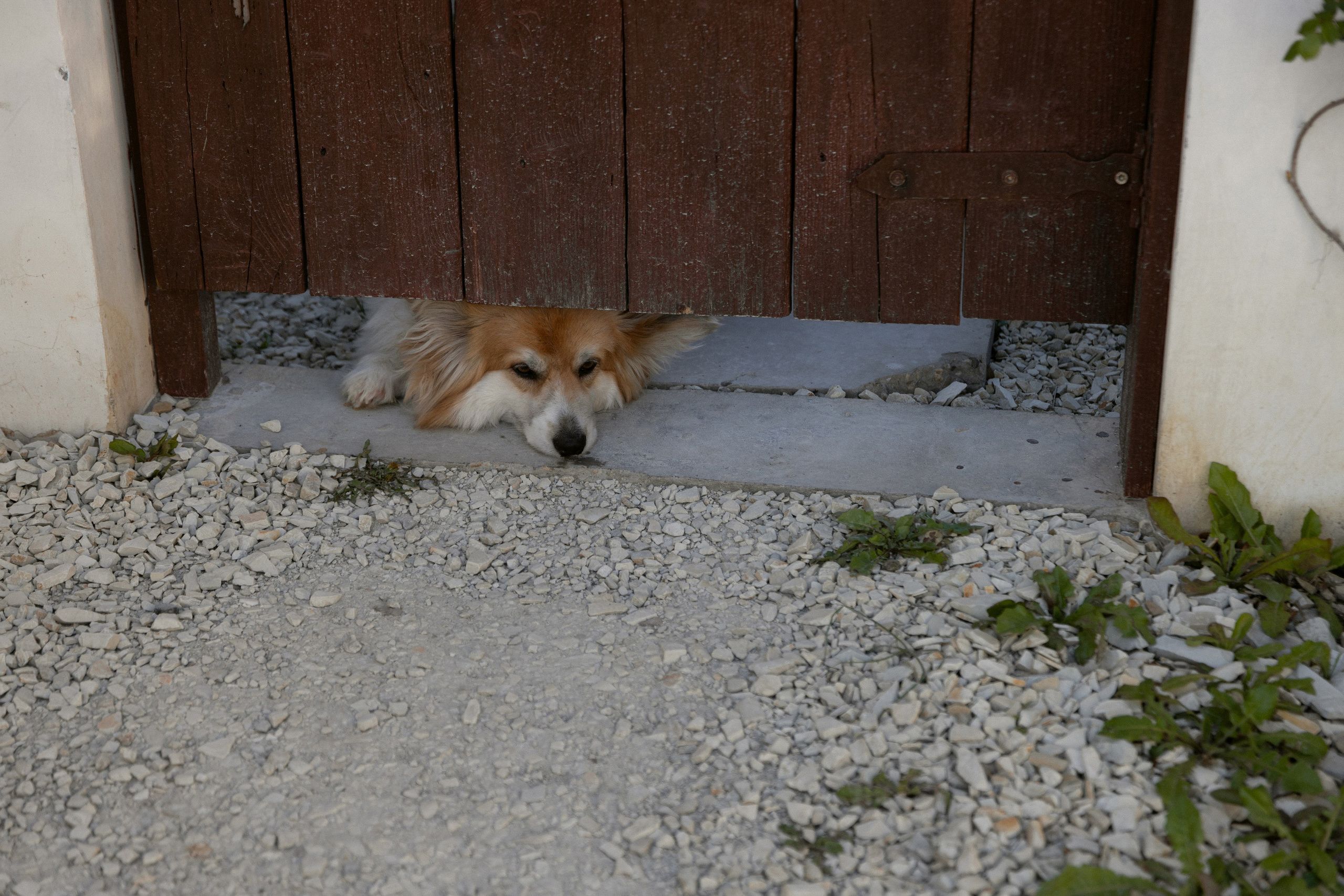 Amore nella villa | свадьба на загородной вилле. Свадебный и семейный фотограф в Анапе/Новороссийске Виктория Чайка