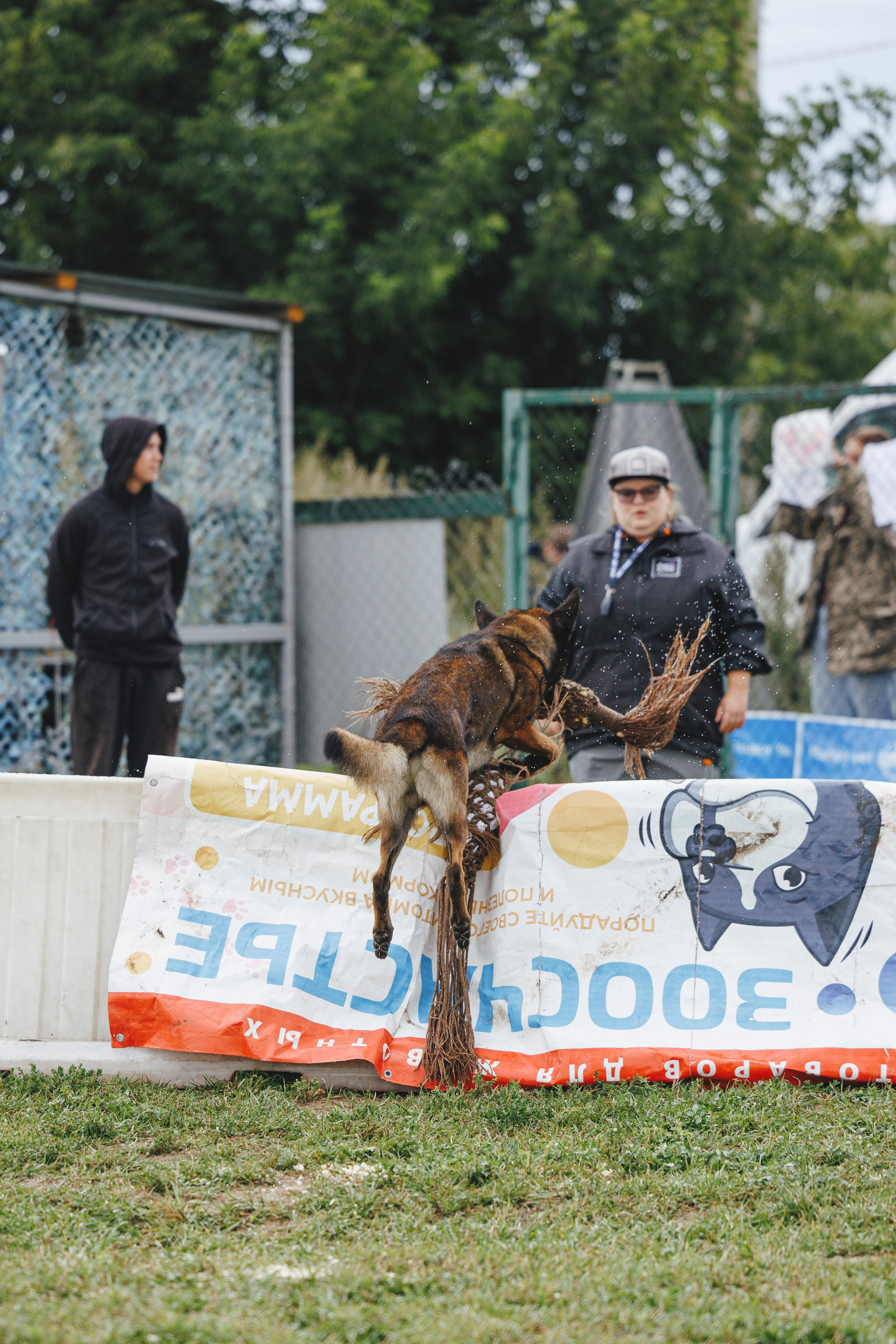 08.08.25-10.08.25 ЧР по мондьорингу г. Вологда. Фотограф-анималист Анна Маринич