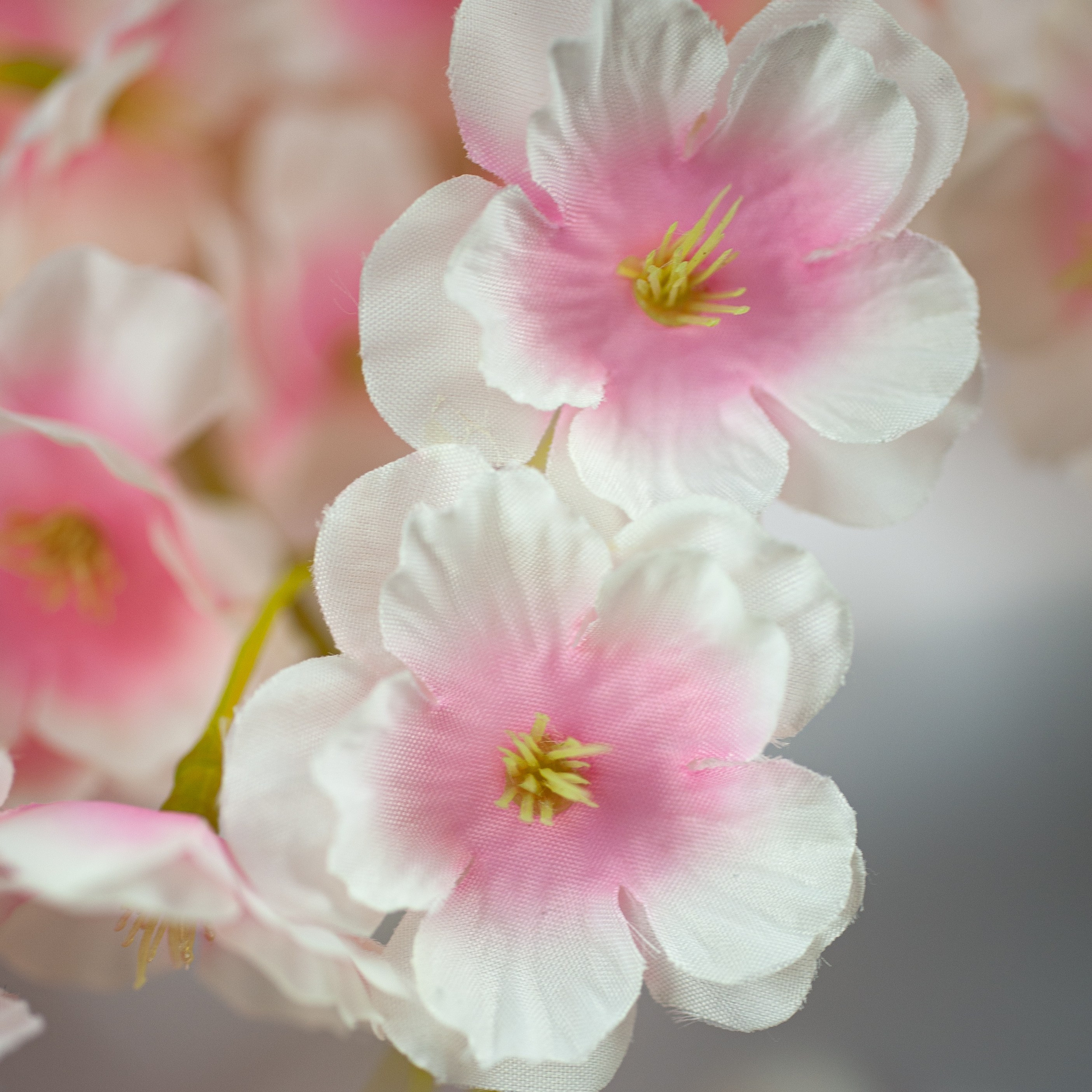 Предметная съемка. Предметный фотограф для маркетплейсов в Раменском