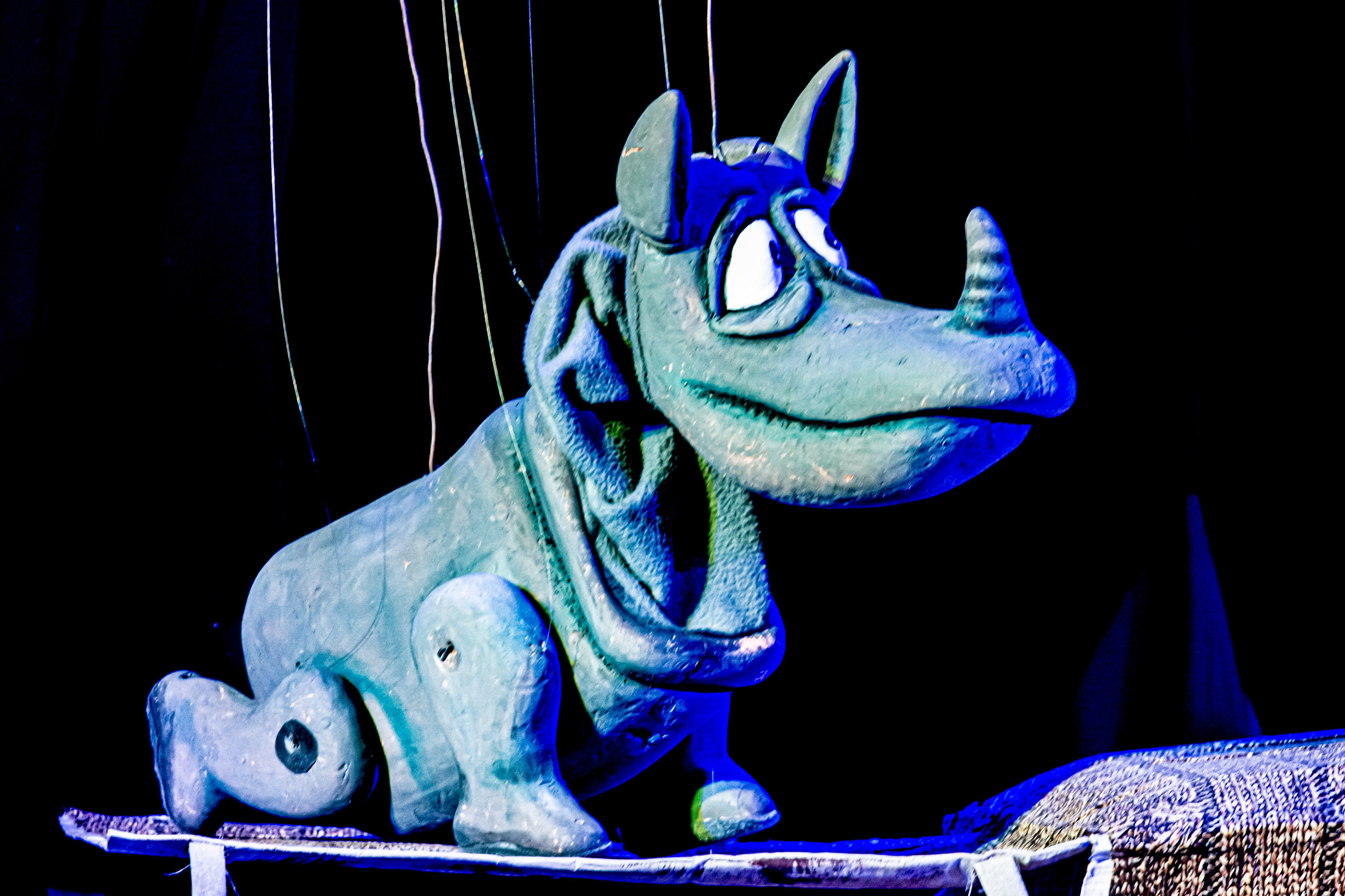 Жирафа и носорог спектакль театра Саквояж. Фотограф в Сочи Юрий Шептаев