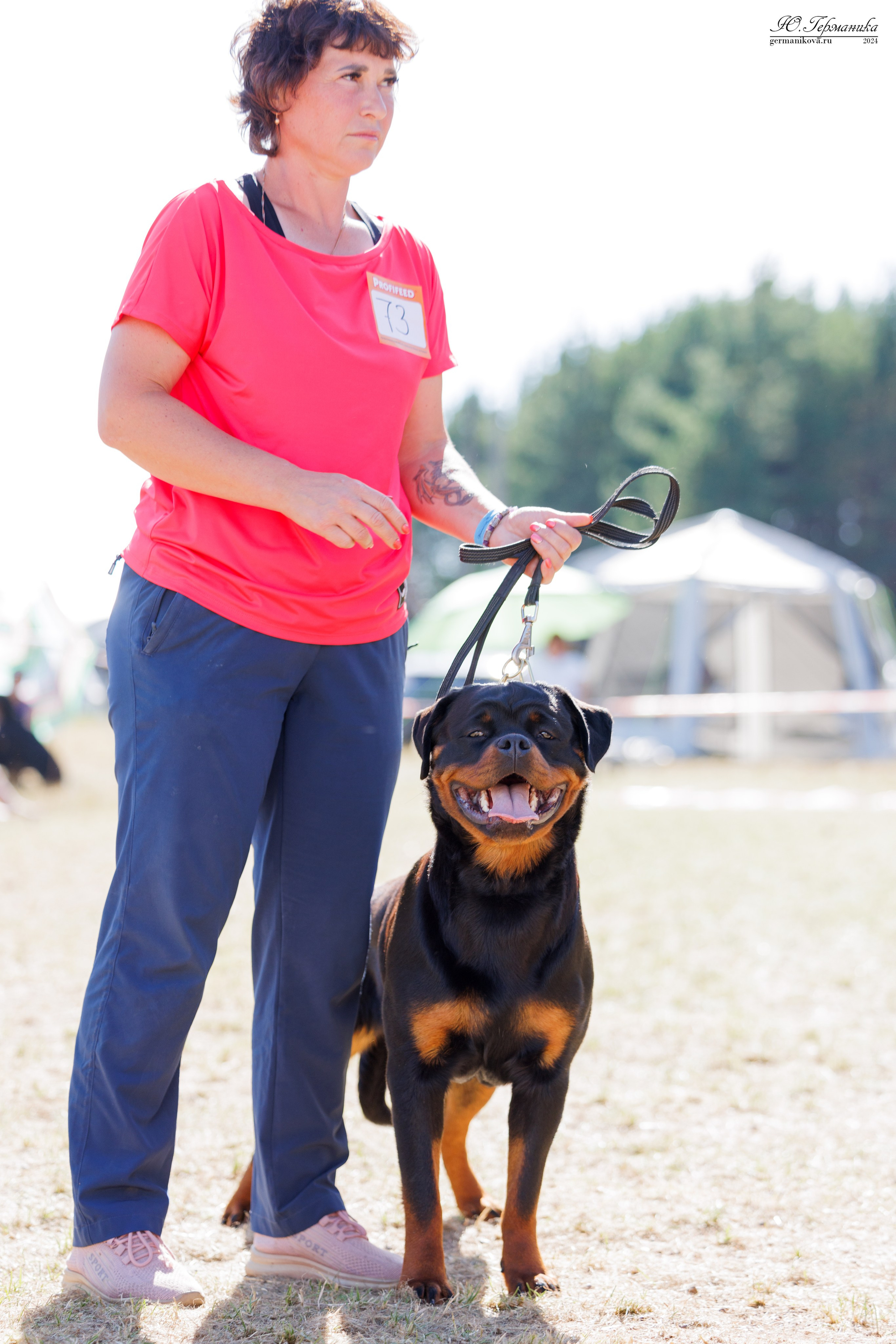 ПК и КЧК ротвейлеры Тверь 6-7.07.2024. Фотограф-анималист Юлия Германика