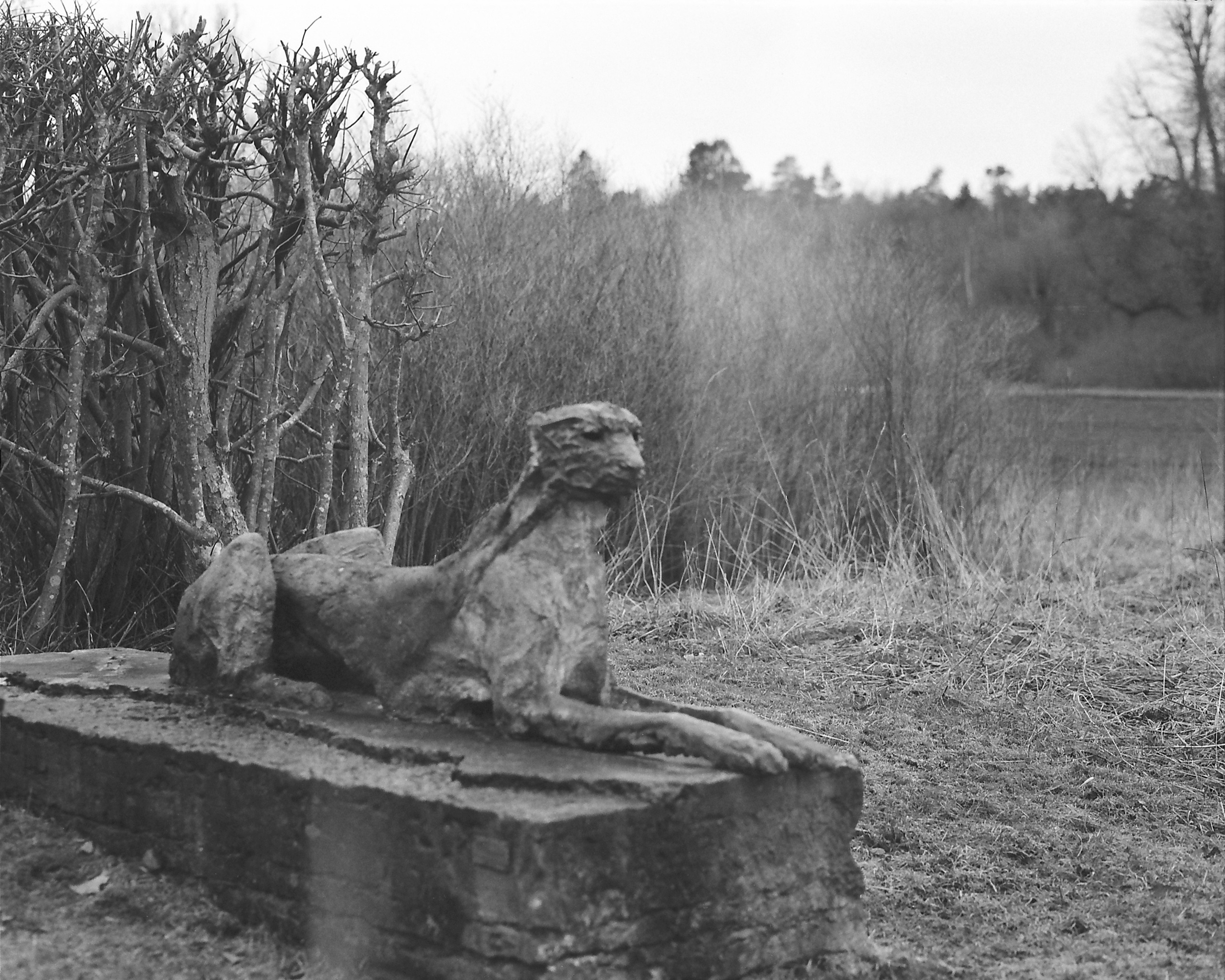 ARSGANG or the Walking Year (New). Екатерина Васильева художник, куратор и преподаватель