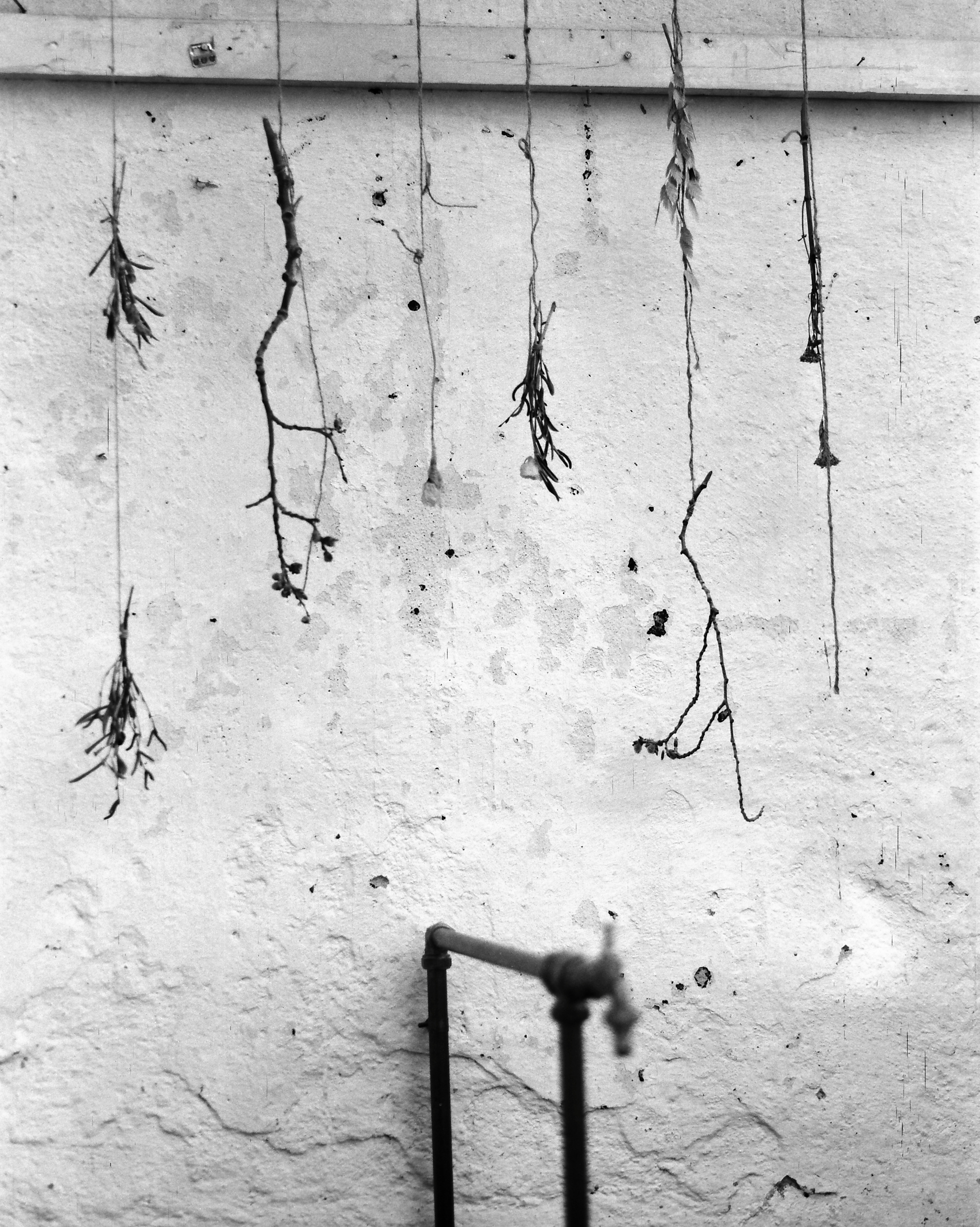 ARSGANG or the Walking Year (New). Екатерина Васильева художник, куратор и преподаватель