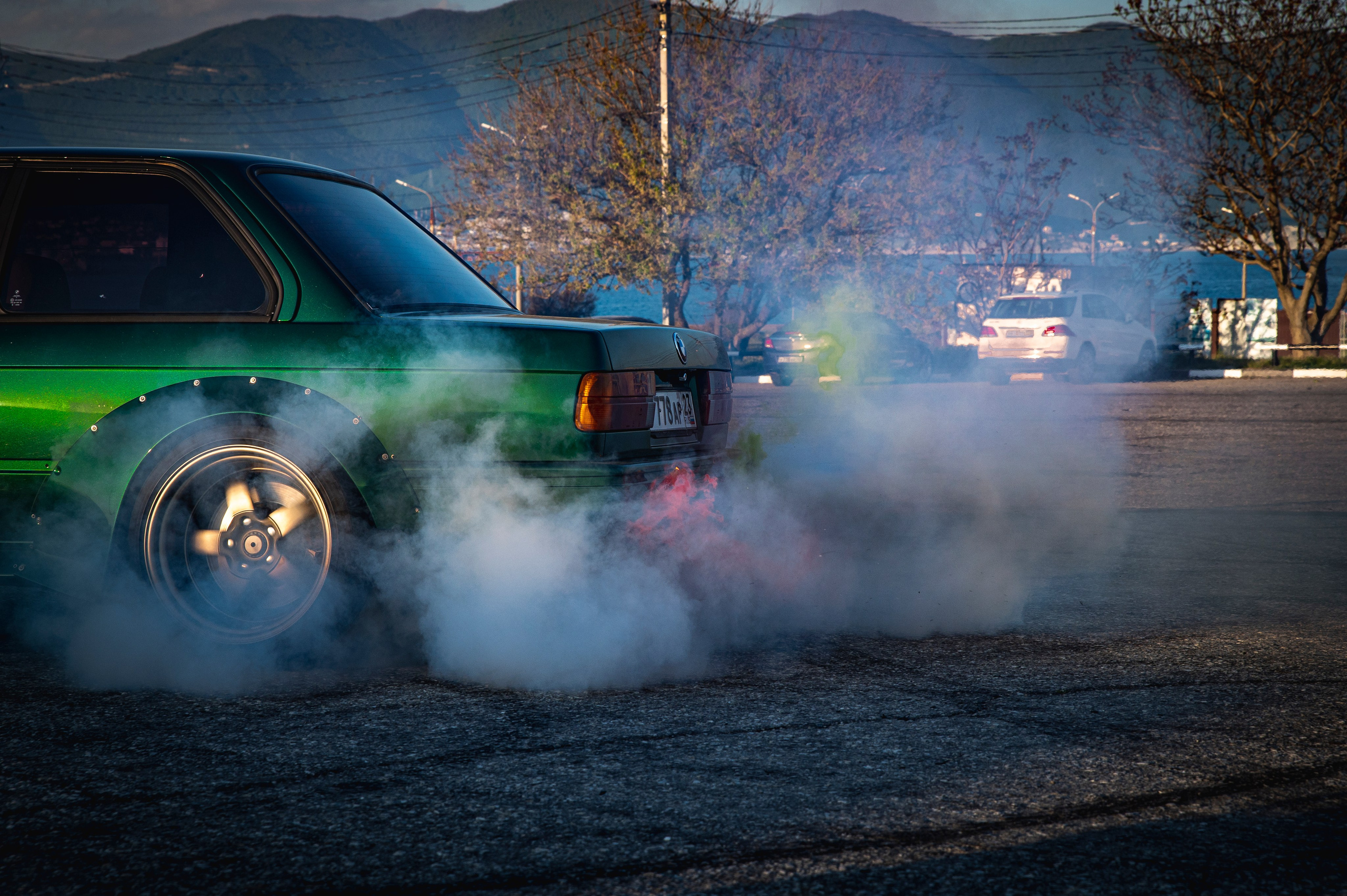 БМВ & Доберман. Фотограф Роман Адлер