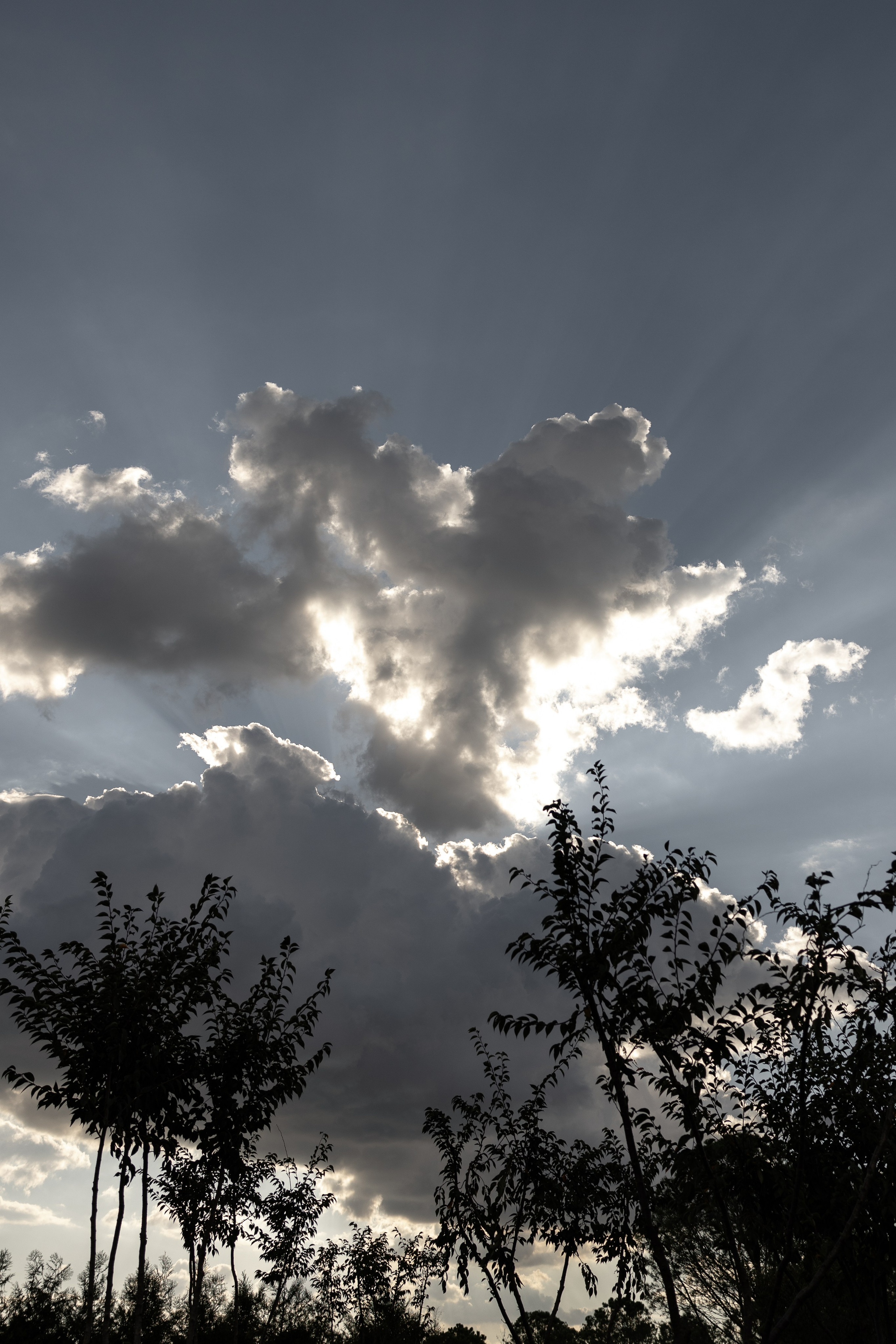 Свадебный фотограф Ростов-на-Дону, Краснодар, Москва