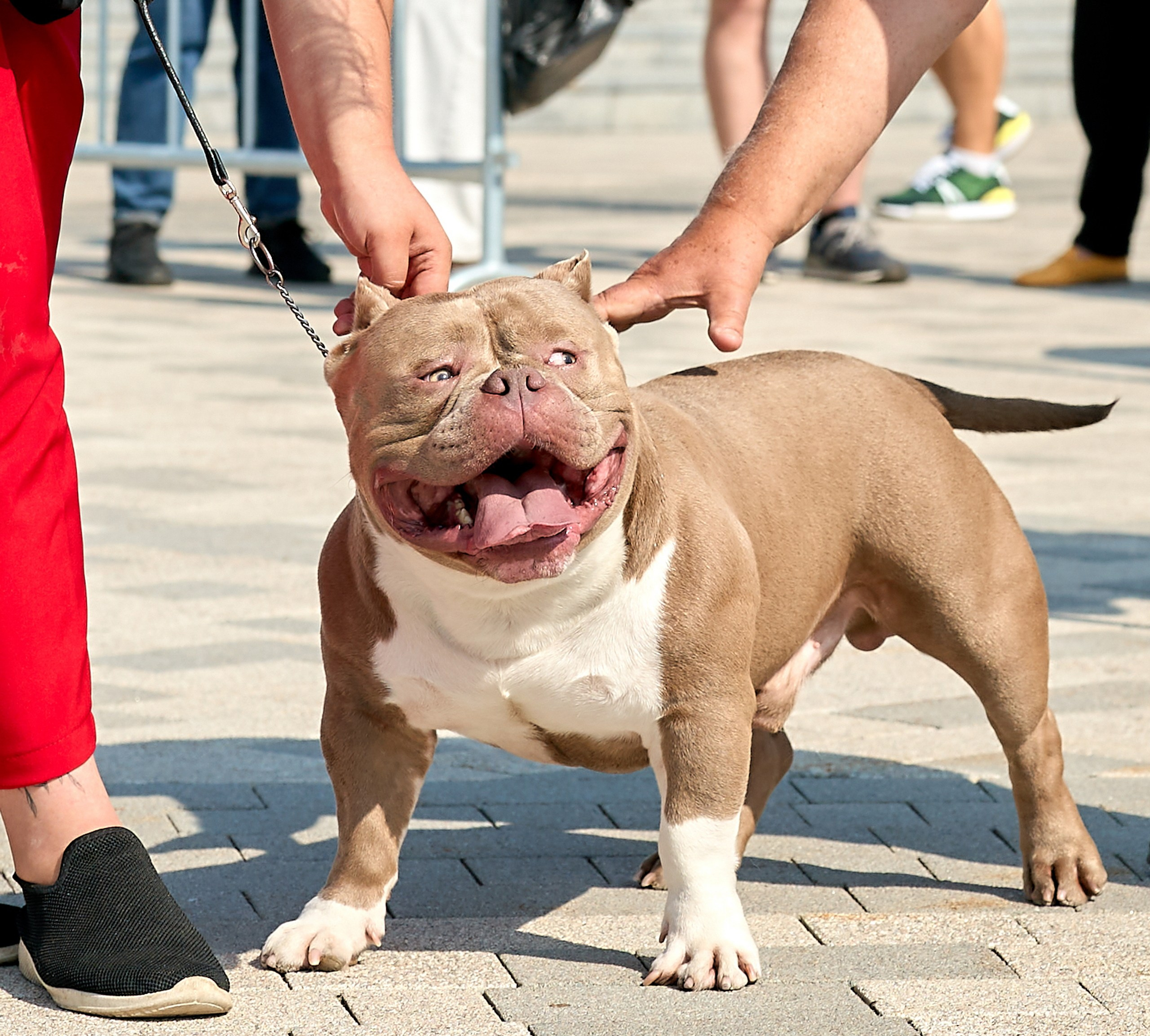 Съемка на выставке Ясенево