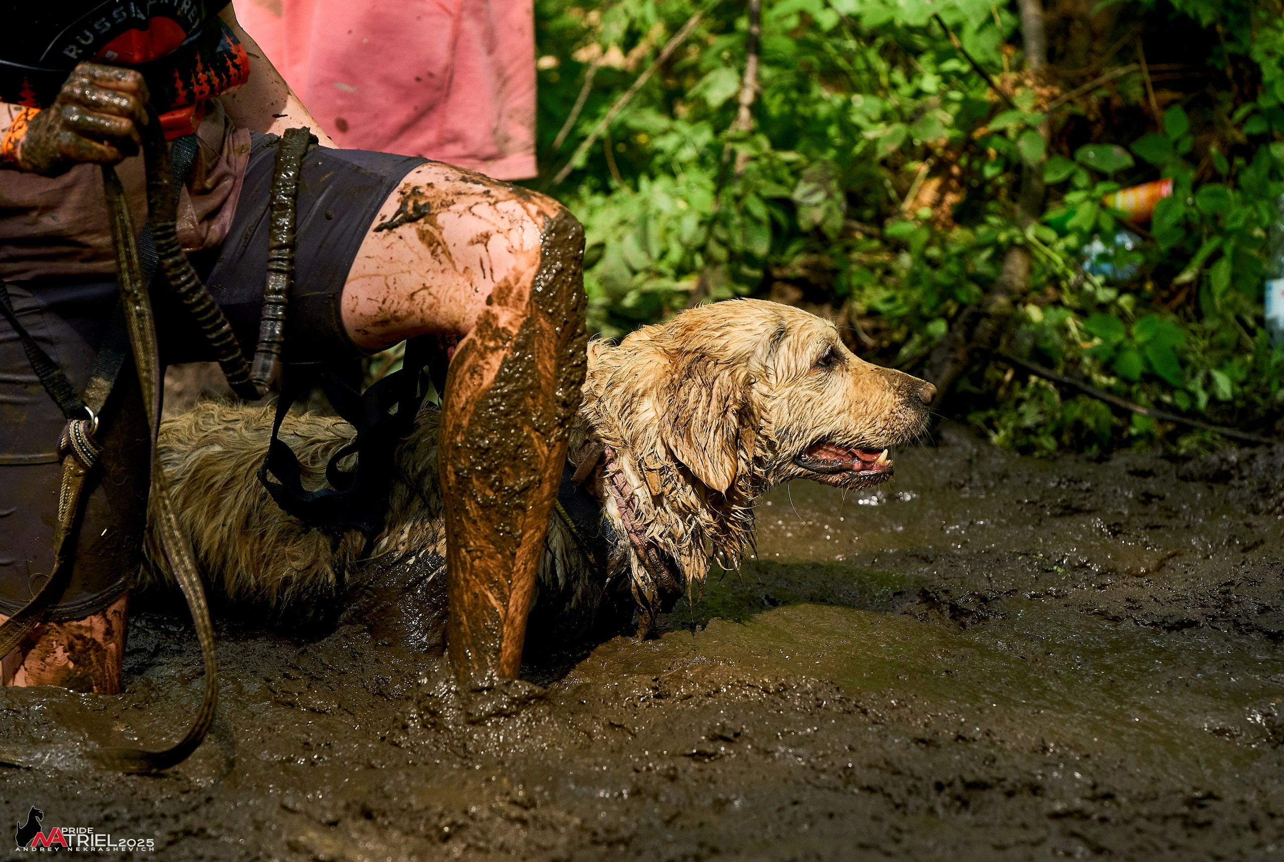 Russian Extreme Dog Trail — 2025