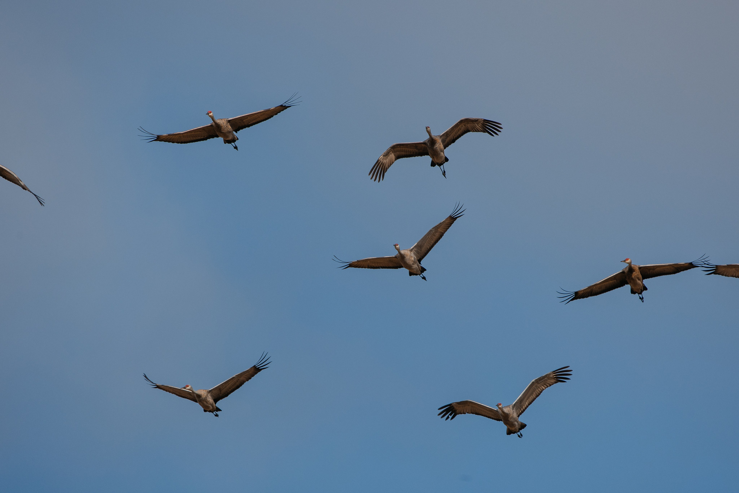 ПЕЙЗАЖ И ЛЮДИ. Саргылана Афанасьева