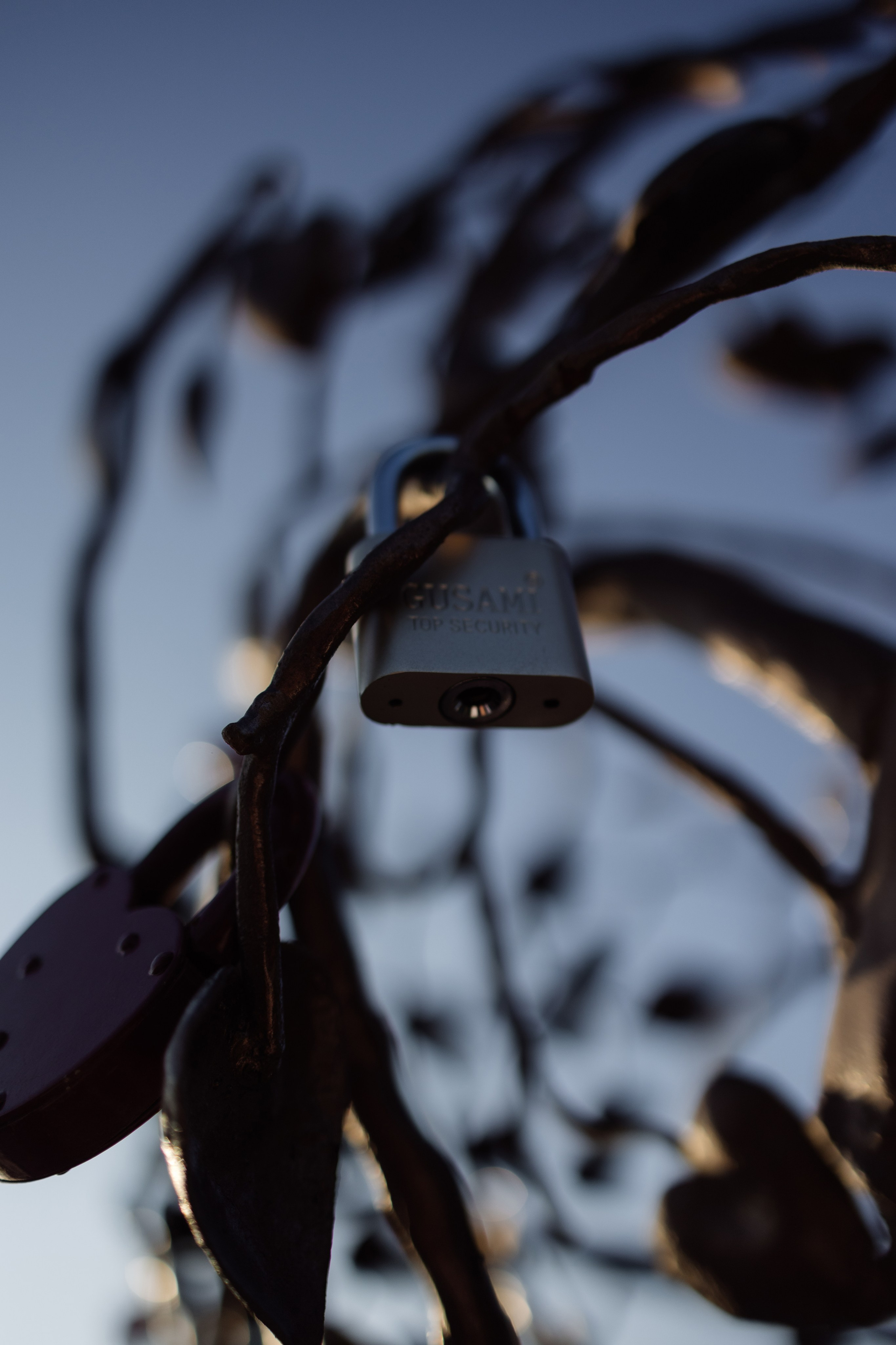 Марк и Мария. Свадебный фотограф в Петропавловске-Камчатском Артур Зябов