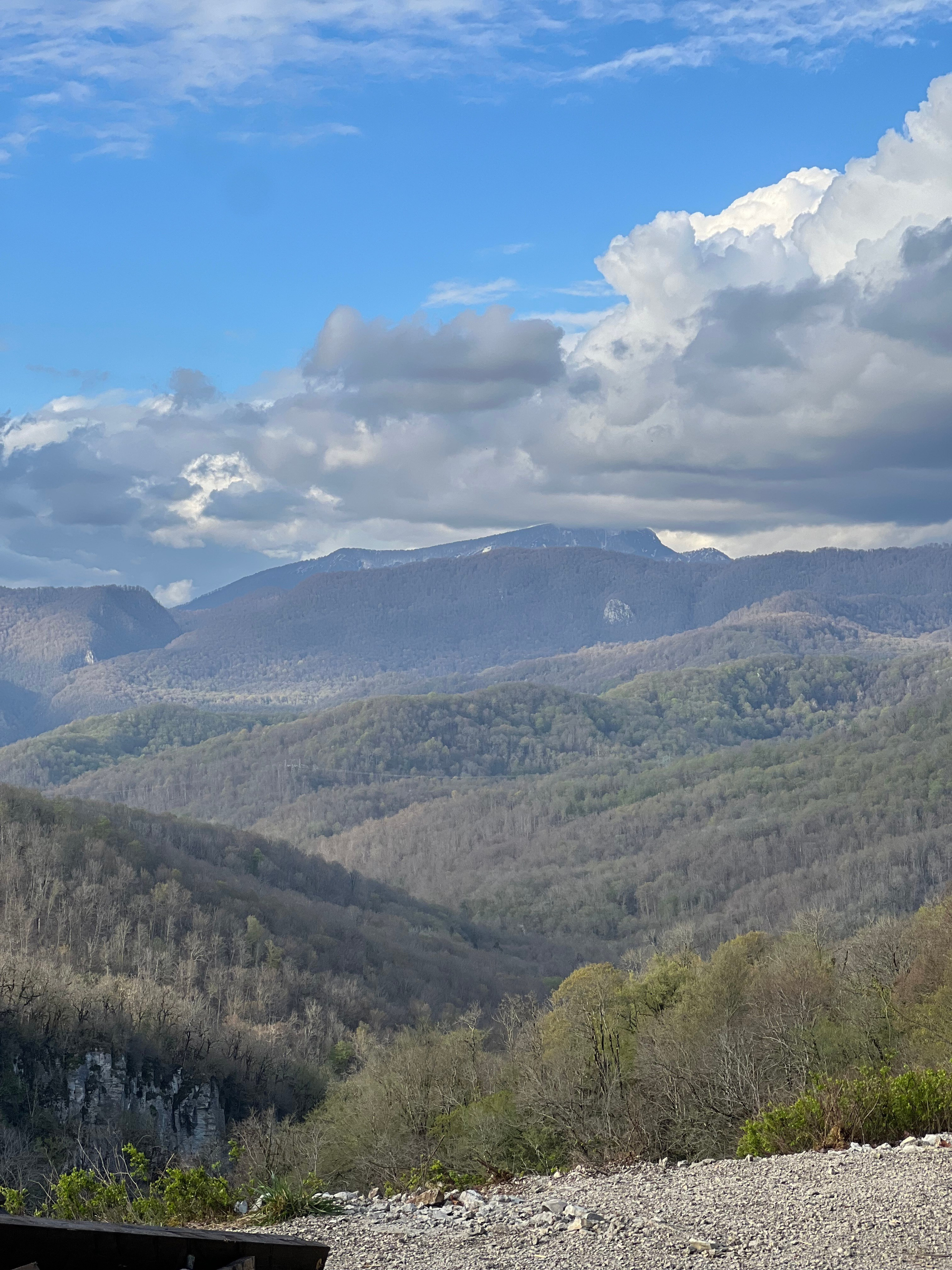 Сочи. Фотограф Сергей Красников