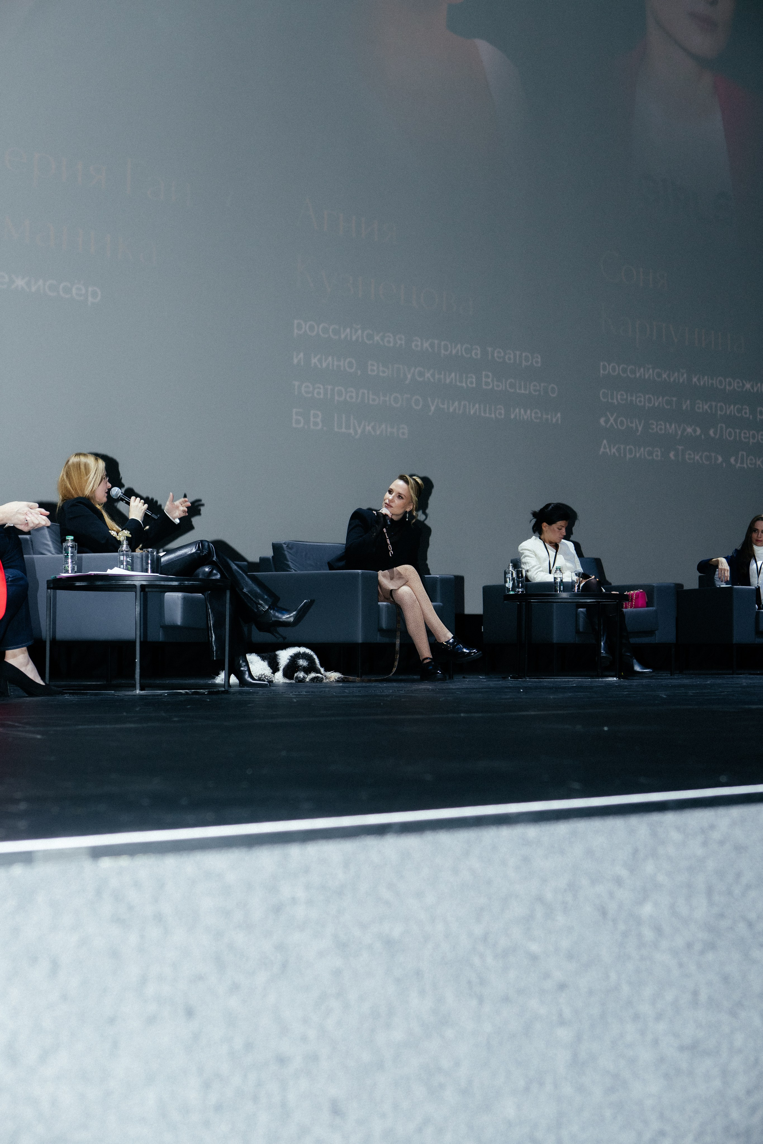 Конфереции. Фотограф в Москве Серегина Екатерина