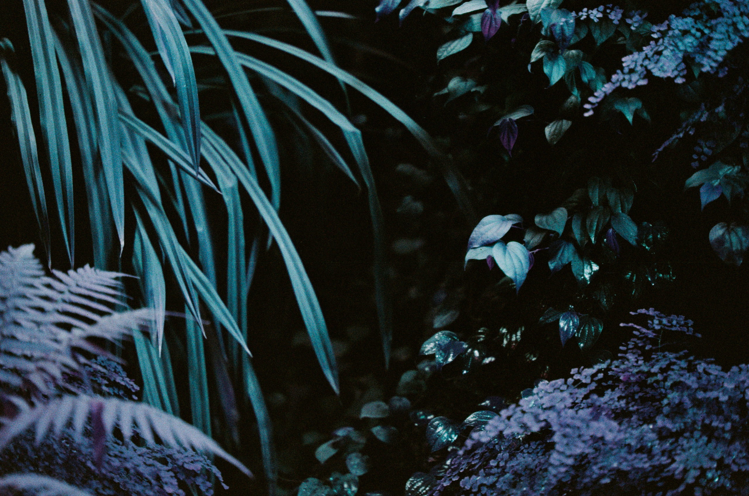 If i get high II. EVER EXPOSED