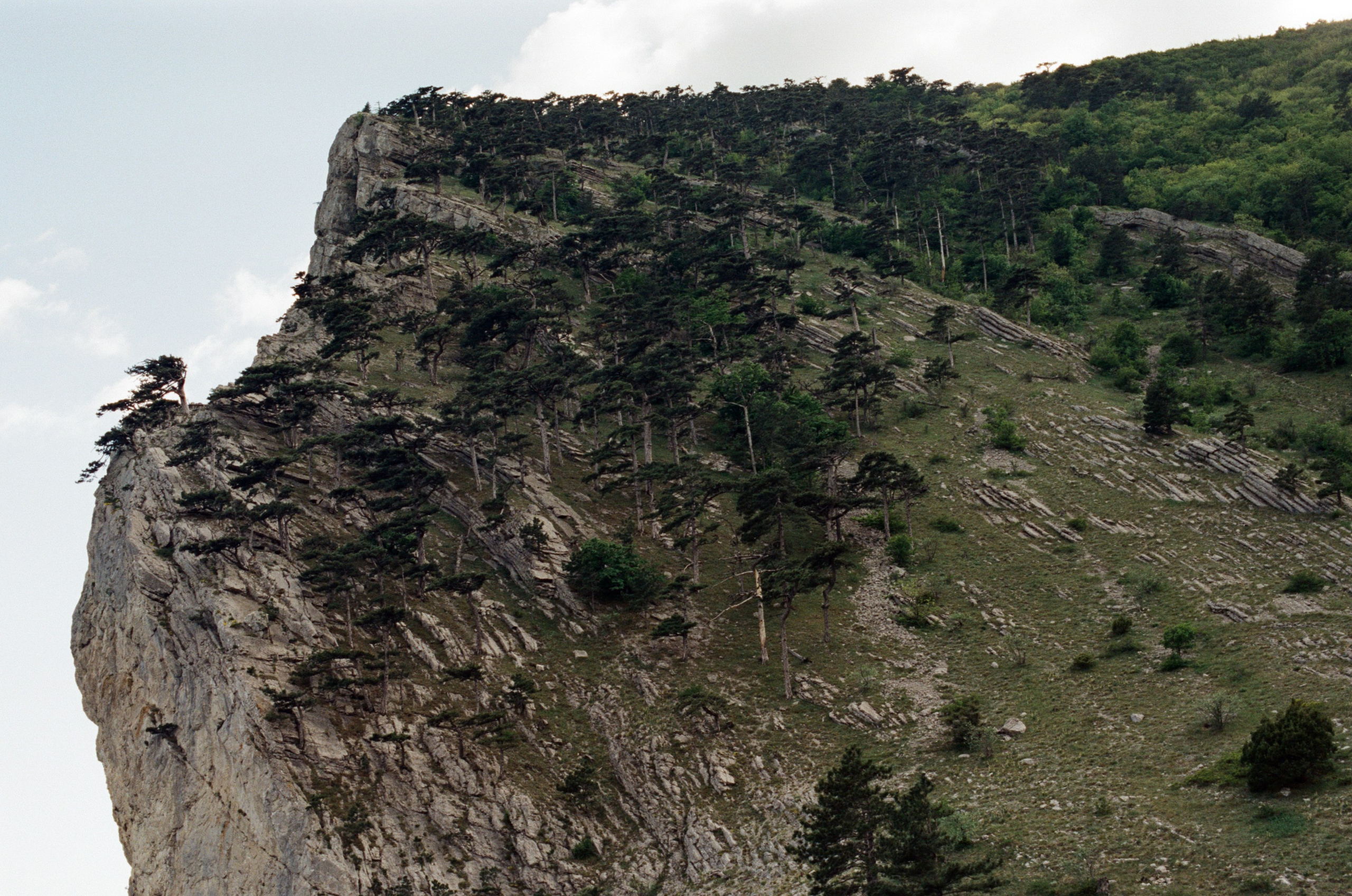 Silver strings // ukraine, crimea IX. EVER EXPOSED
