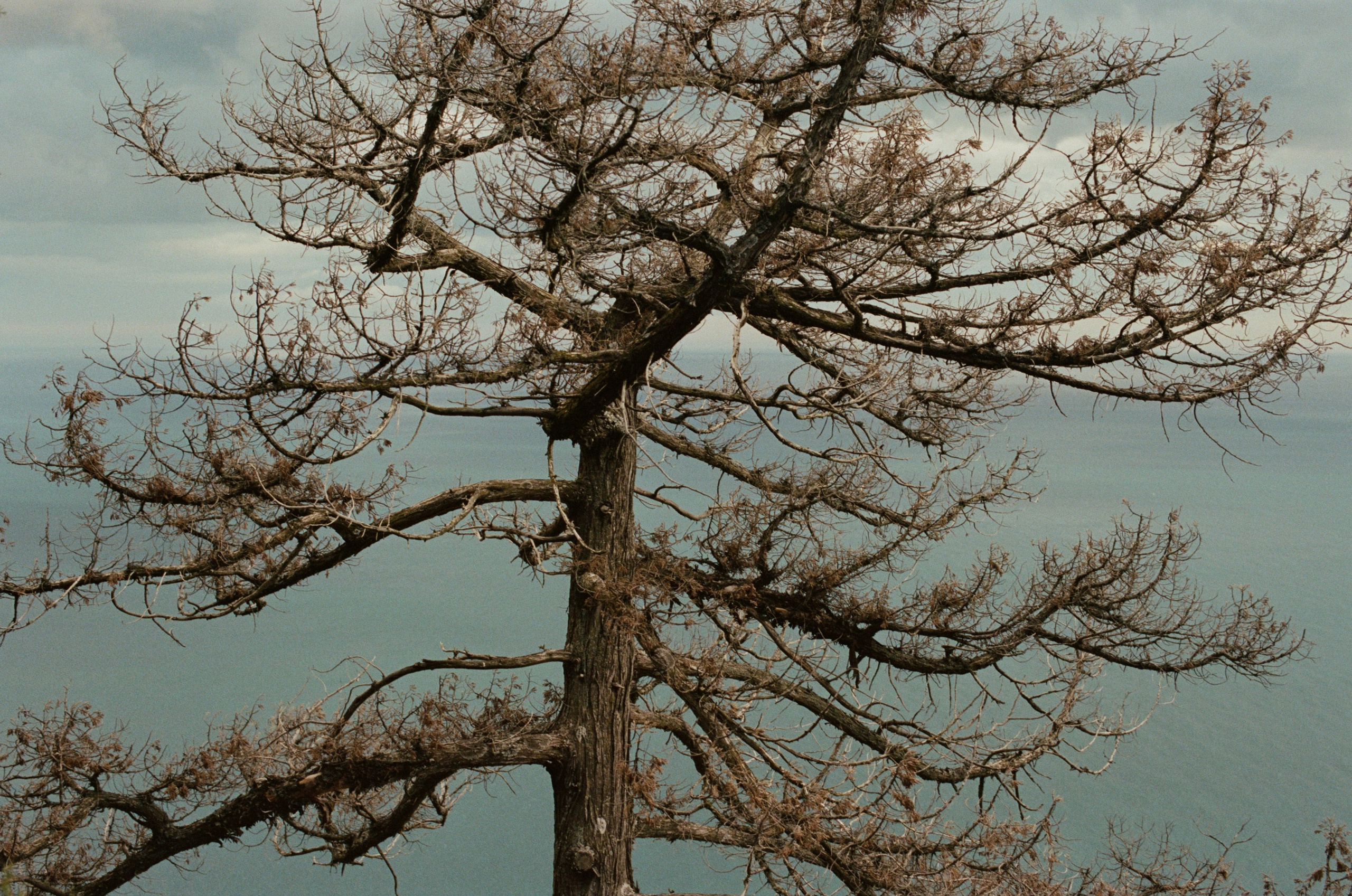 Silent running // ukraine, crimea II. EVER EXPOSED