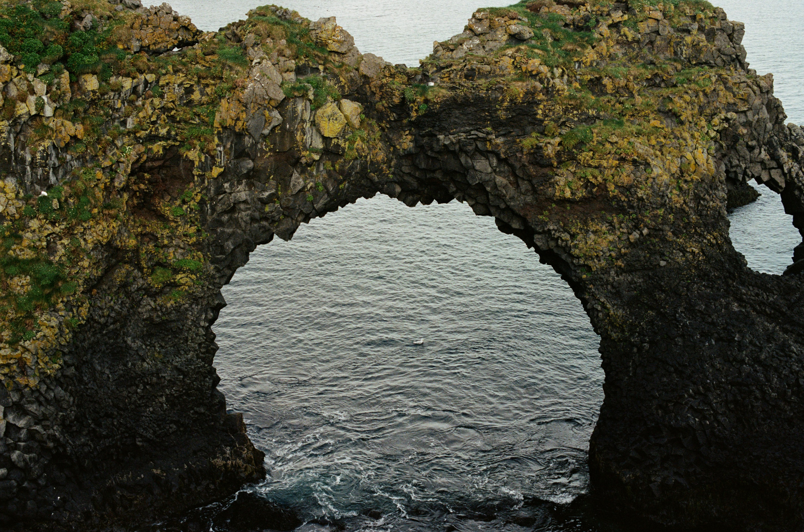 Vor i vaglaskogi // iceland, 574 utnesvegur. EVER EXPOSED