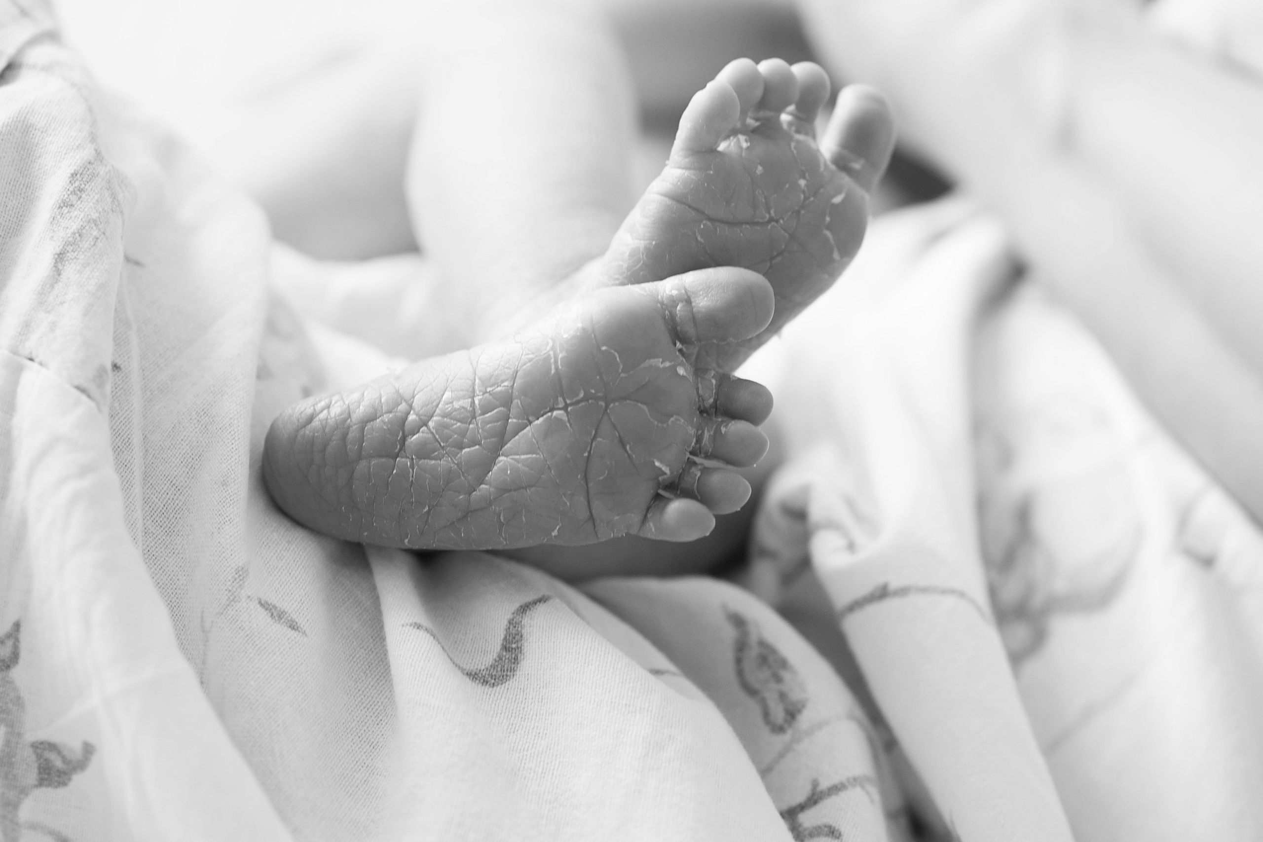 РОДДОМ. Фотограф Вера Демидкова