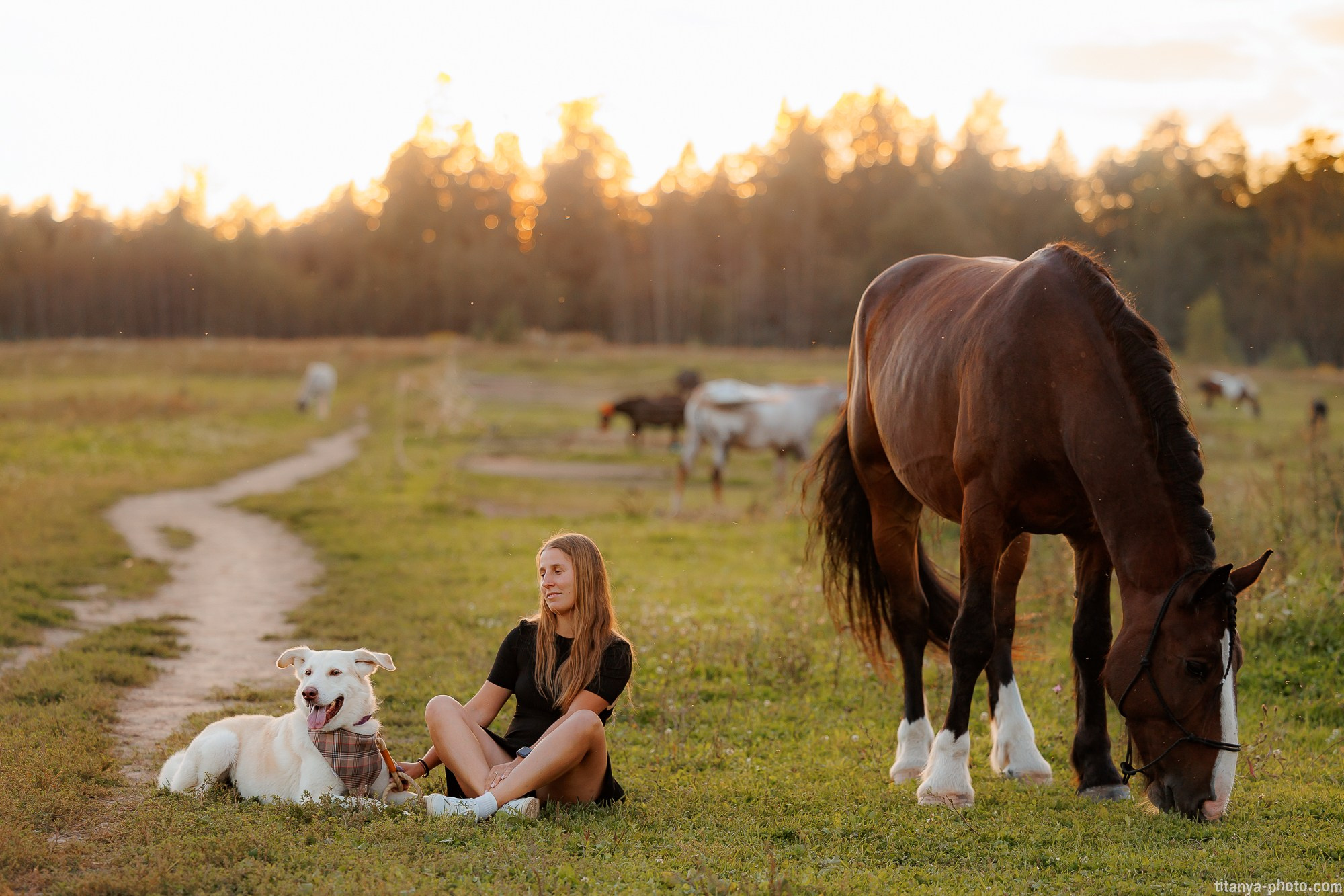 Закатная семейная фотосессия: про Настю и её дружную семью. Фотограф собак, фотограф-анималист Аня Титова (Titanya). Москва