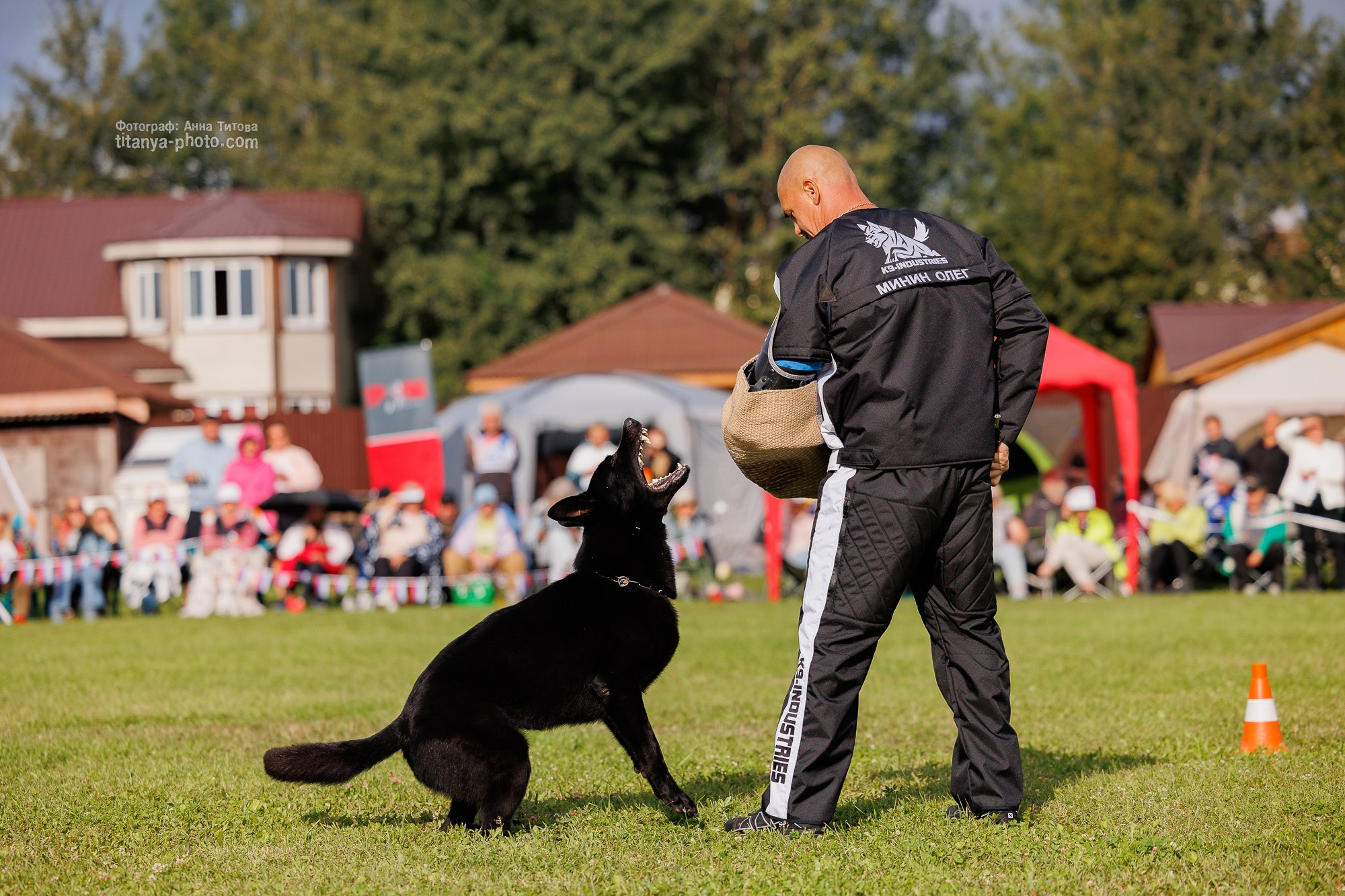 Немецкие овчарки: фото из рингов и вне ринга, мутпроба (фотографии с выставок). Фотограф собак, фотограф-анималист Аня Титова (Titanya). Москва