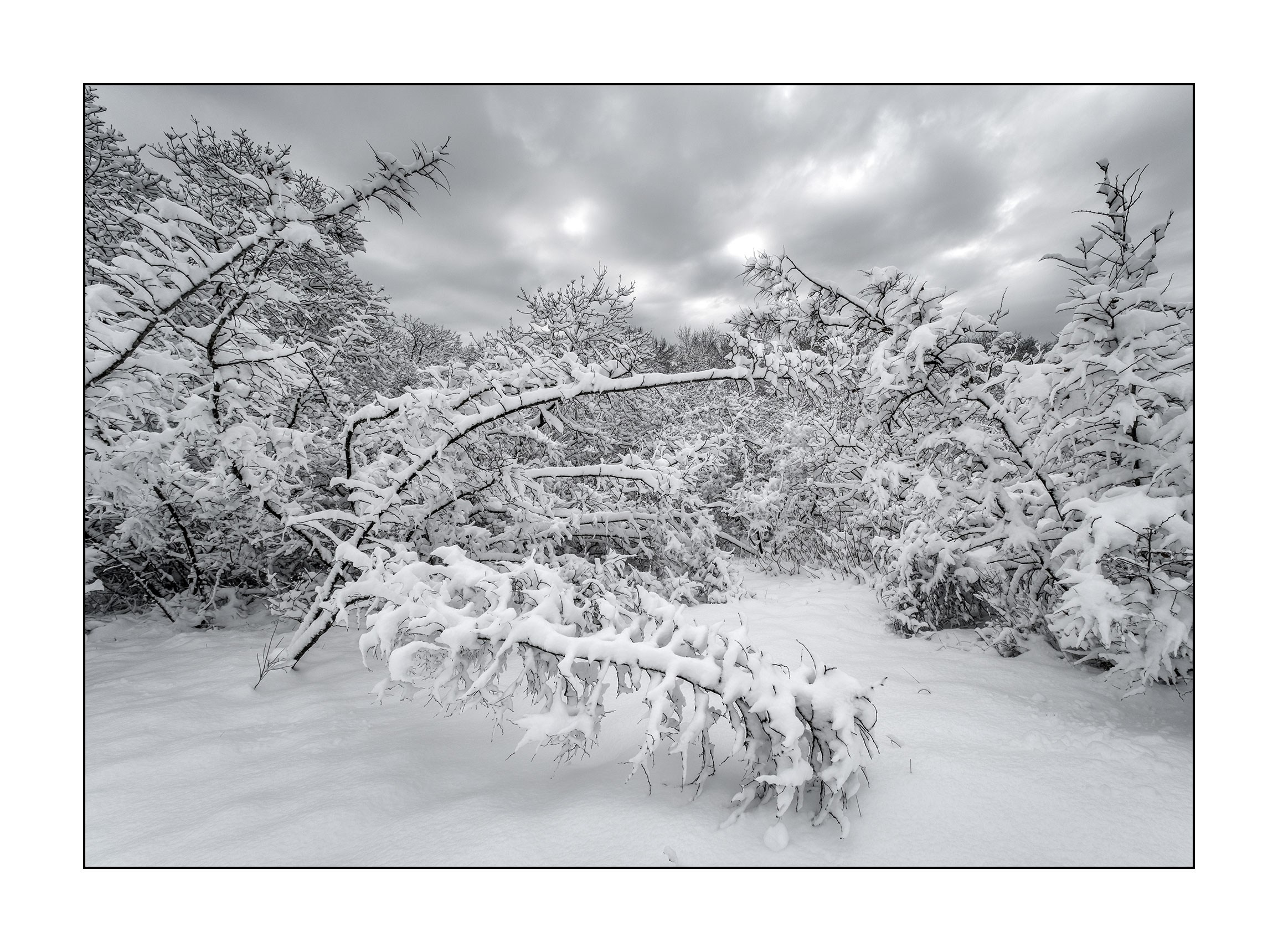 фотограф Геленджик
