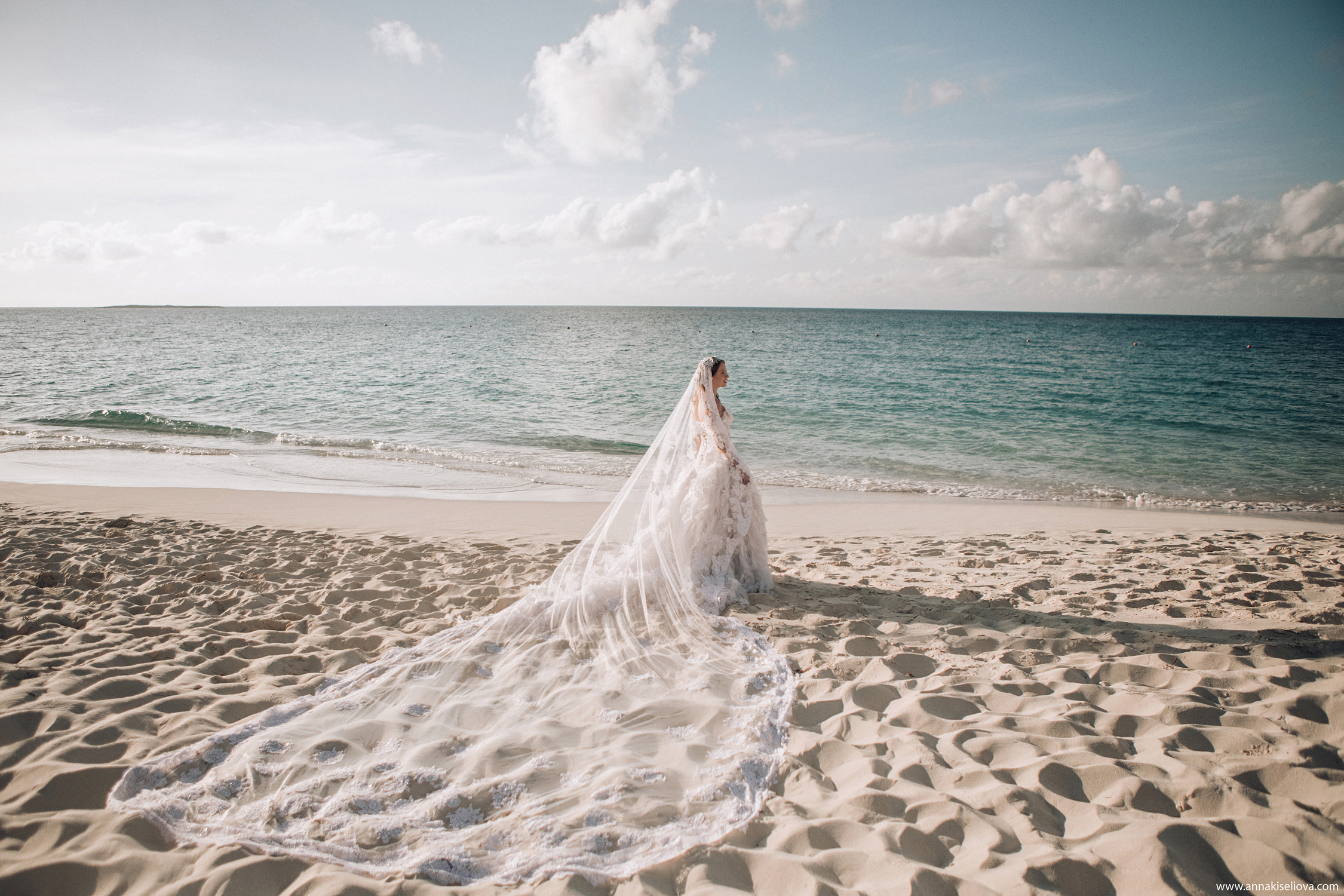 Ассорти 2019. Фотограф в Санкт — Петербурге Анна Конофало