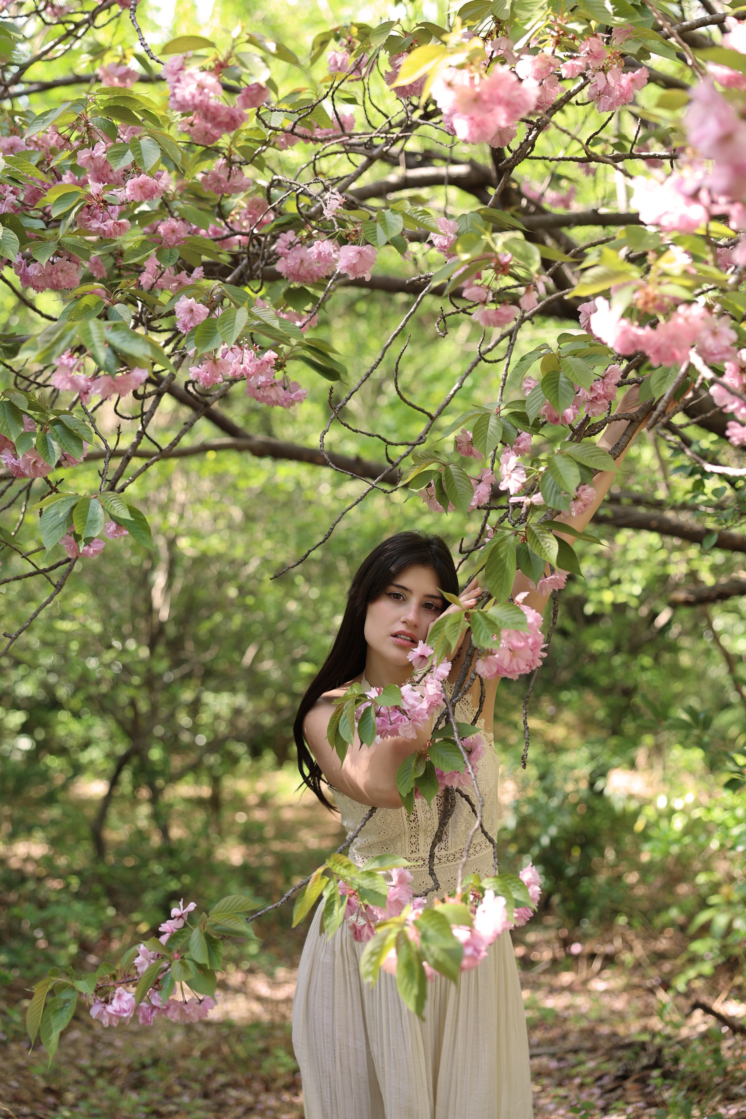 Busan Photographer. Photographer in Busan | Royal Cherry Blossom Solo Photoshoot