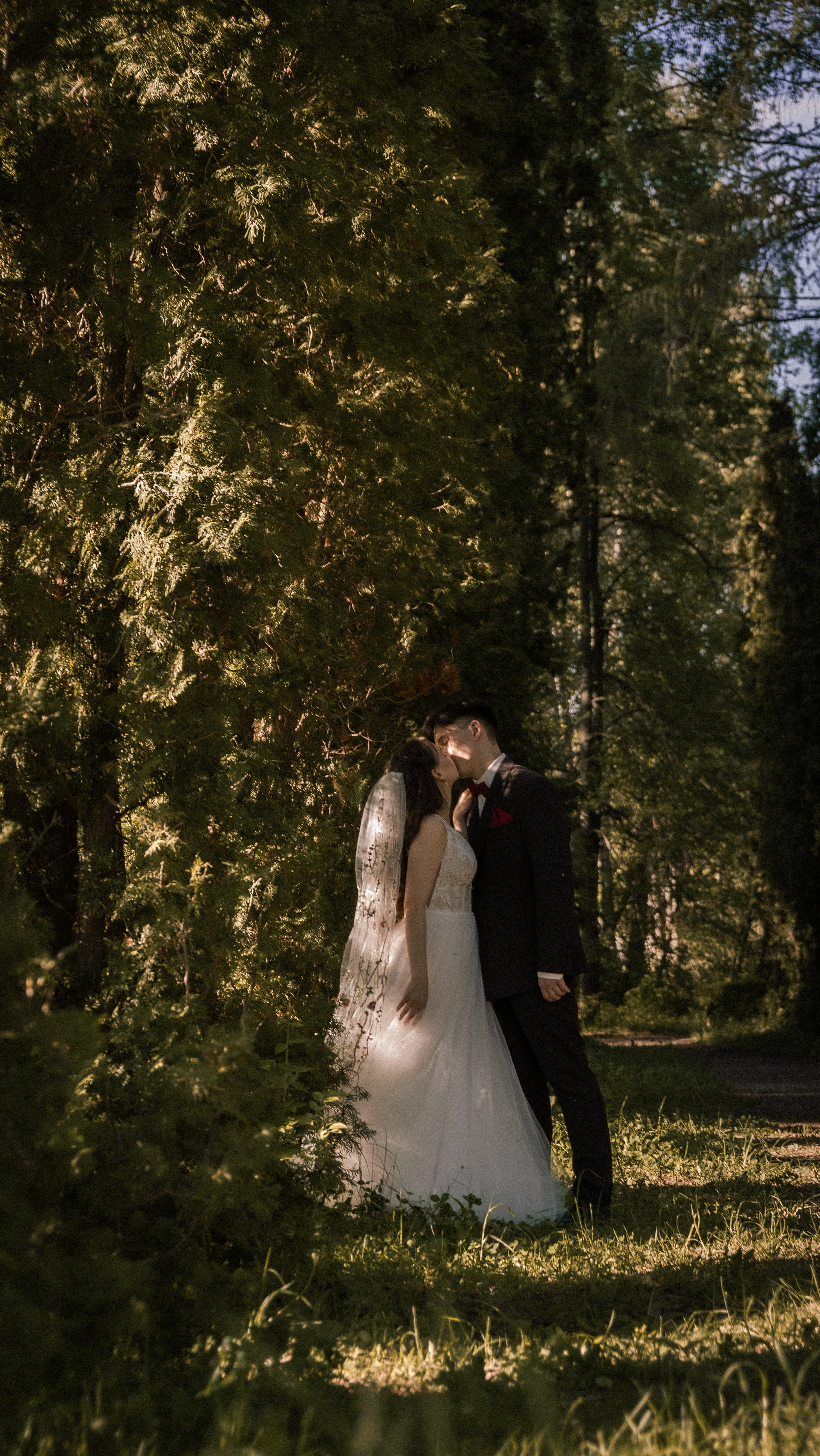 Алина и Арсений. Фотограф и видеограф Андрей Кукишев