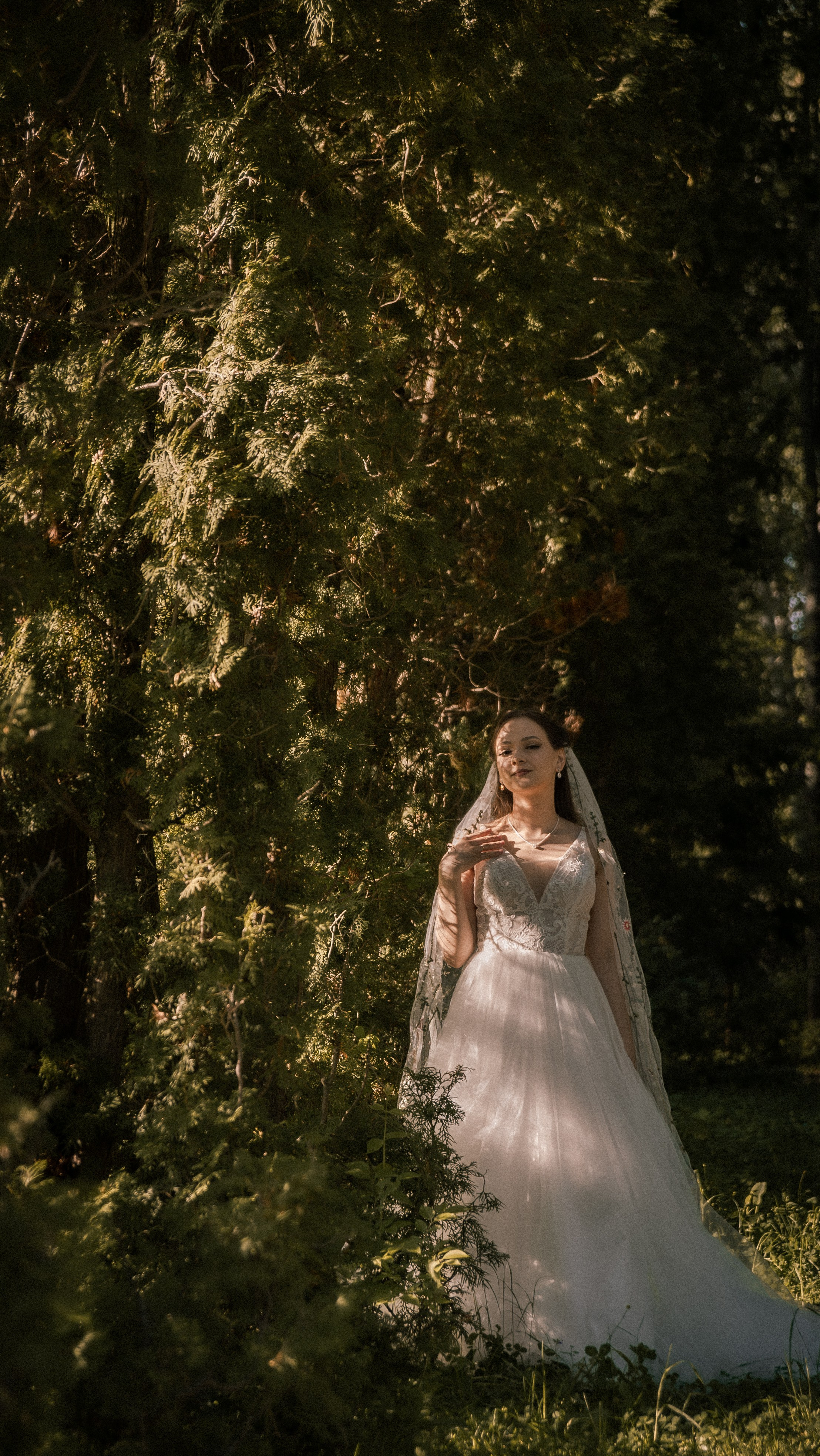 Алина и Арсений. Фотограф и видеограф Андрей Кукишев