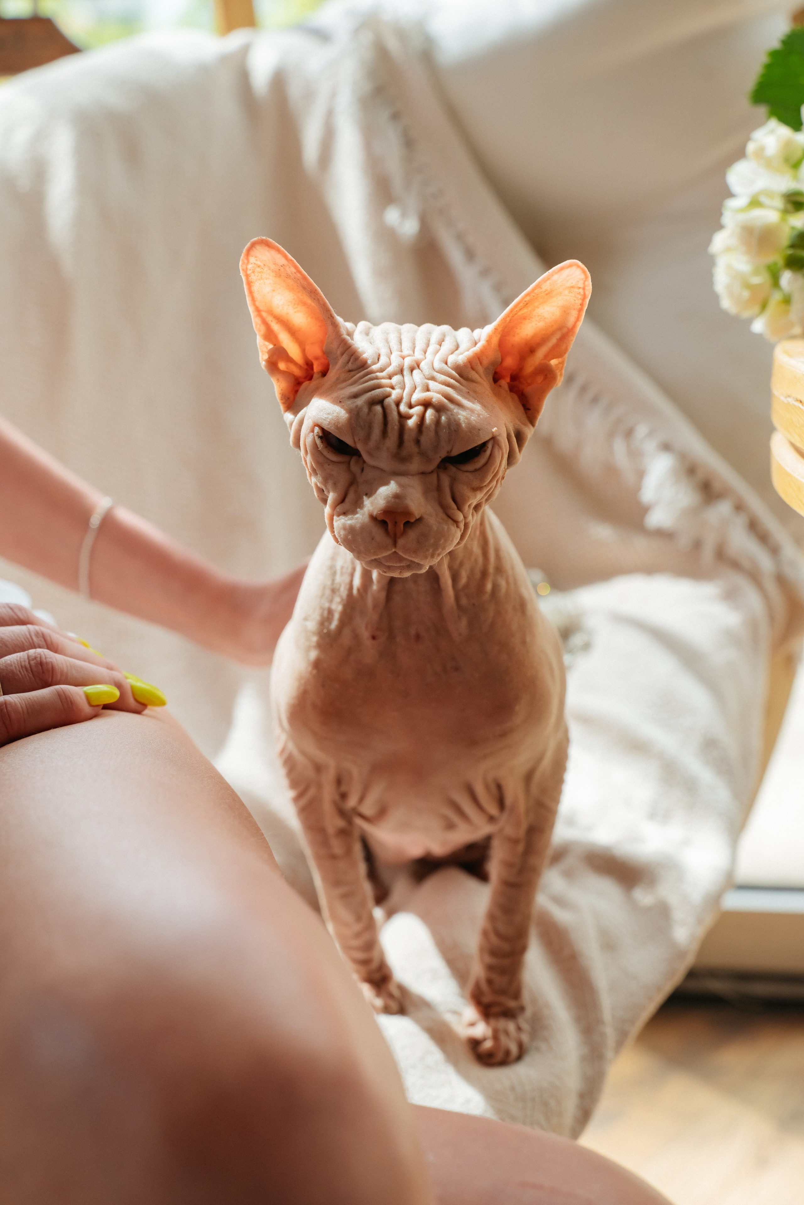 День свадьбы