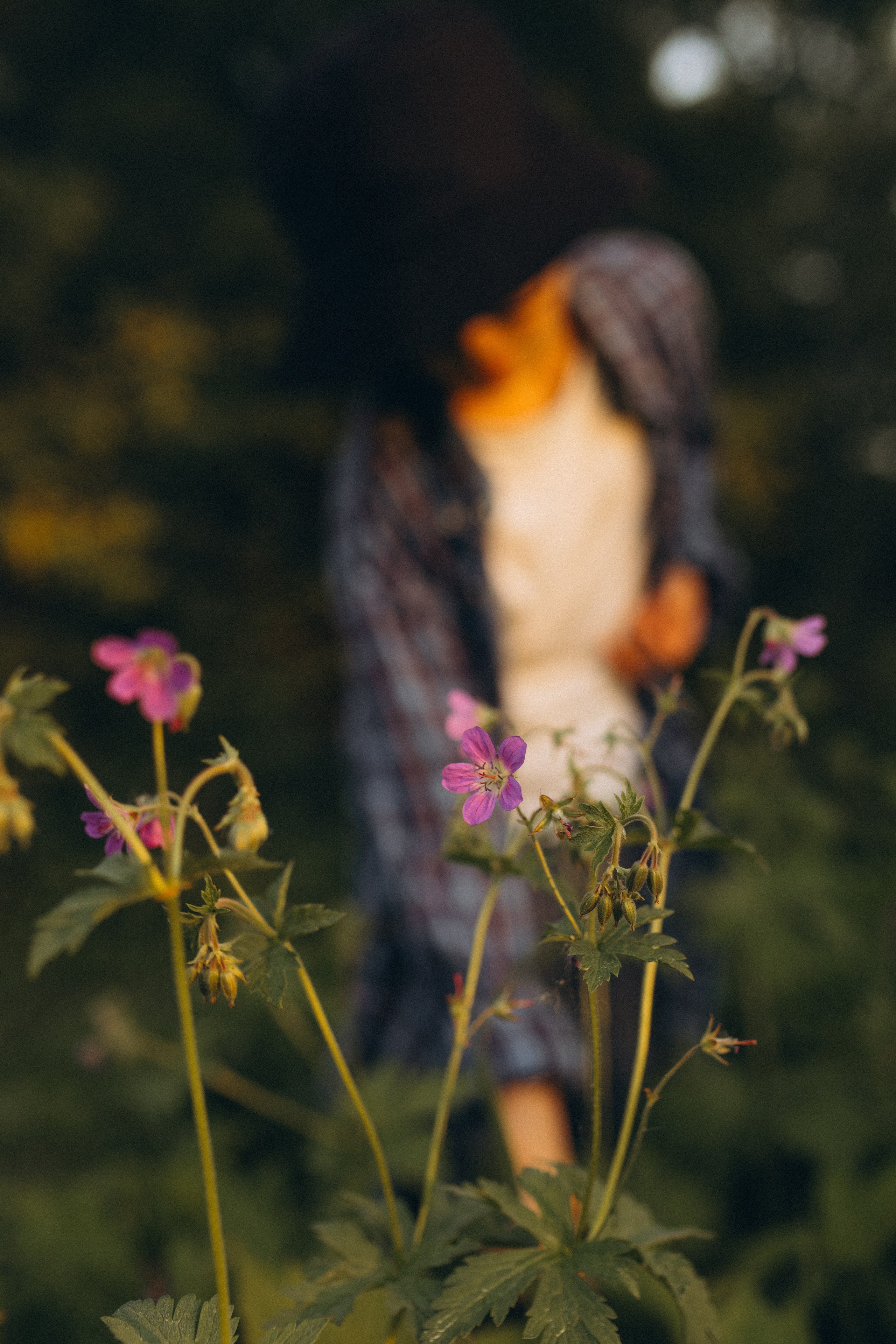 История одного букета. Семейный фотограф в Москве Жукова Анна