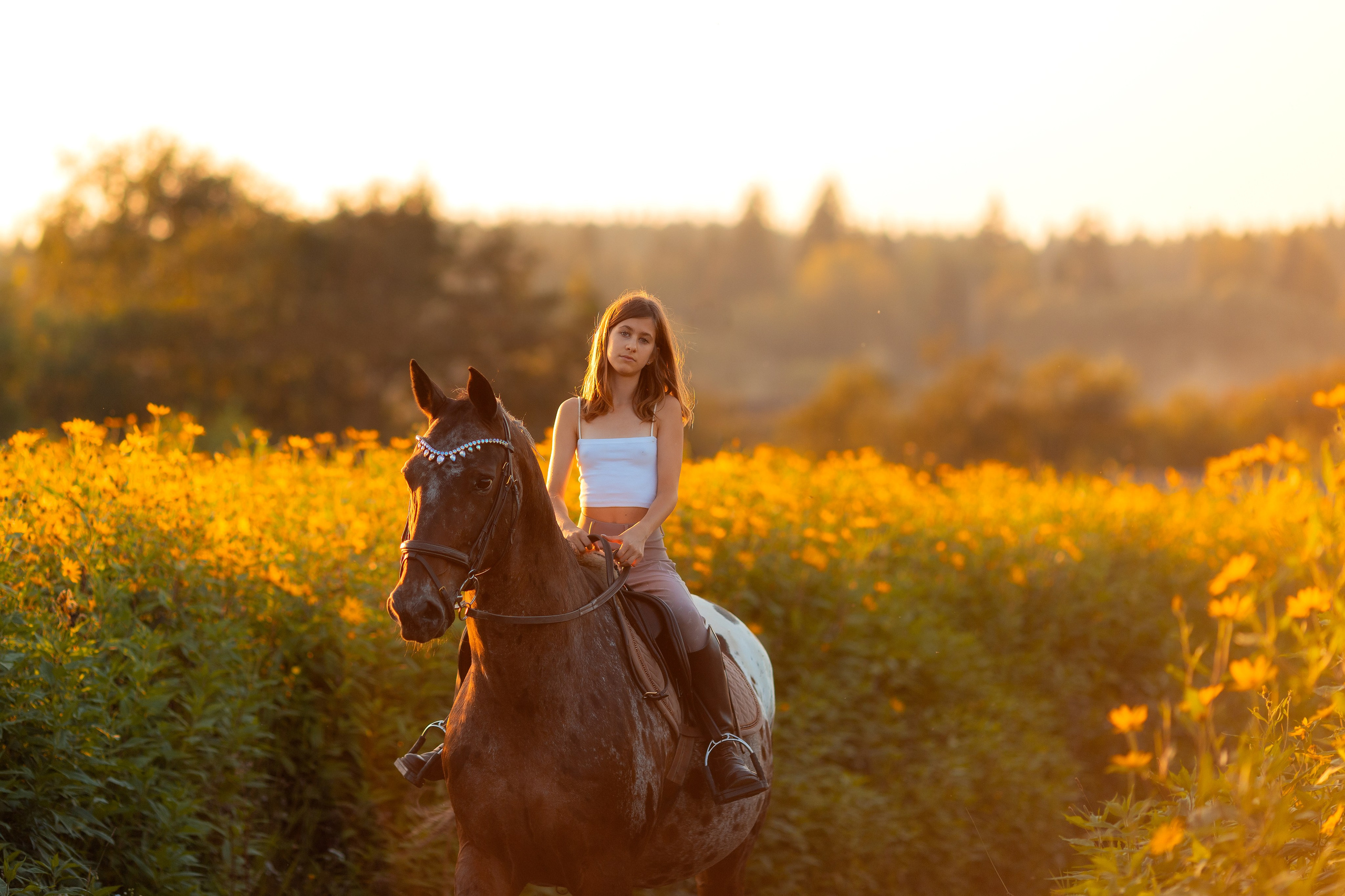 Фотосессия с лошадьми на закате. Фотосессии с лошадьми в Москве от Конный фотографа Кутейниковой Светланы