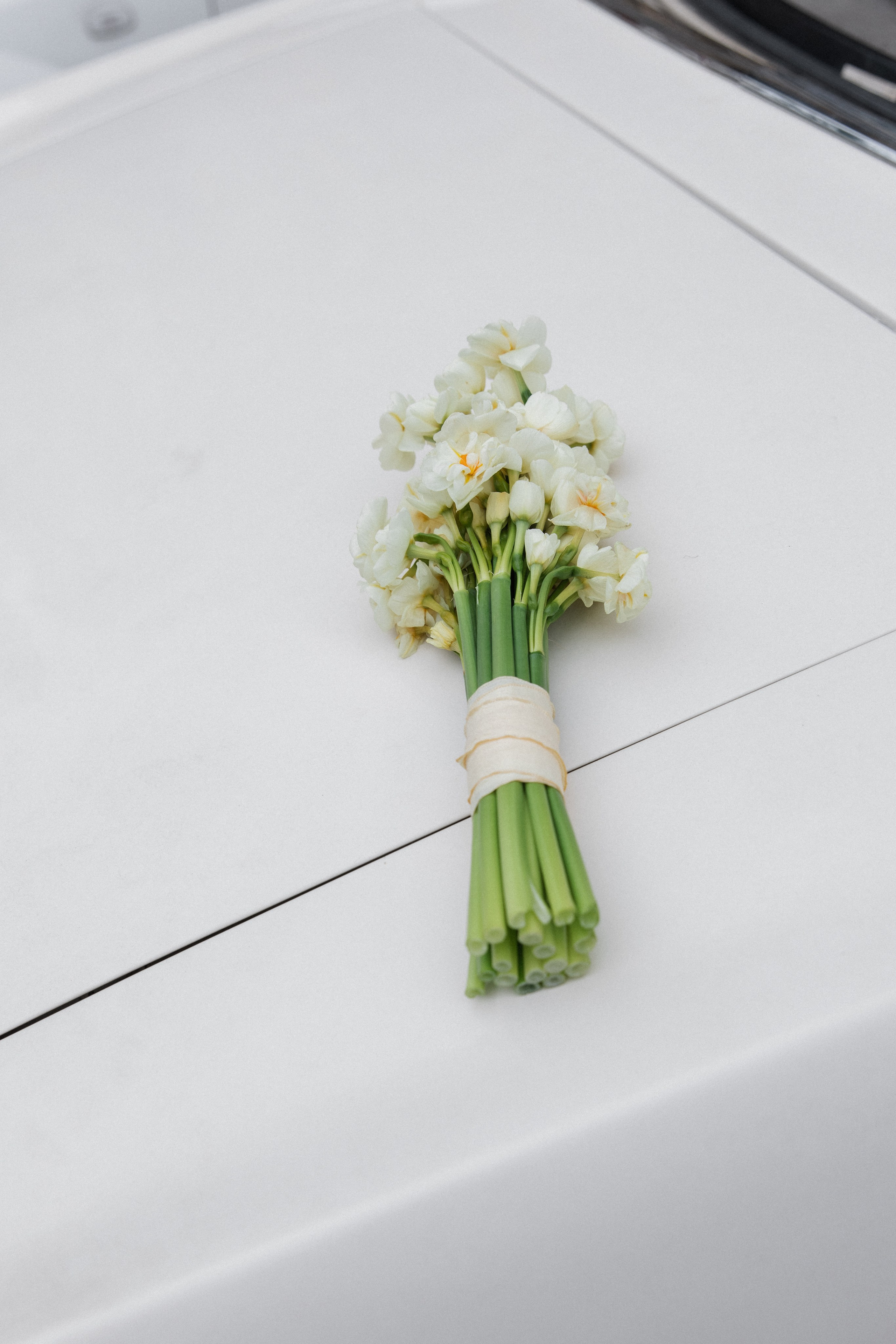 #3 Эрмитаж. Фотограф Москва Шептаев Артём