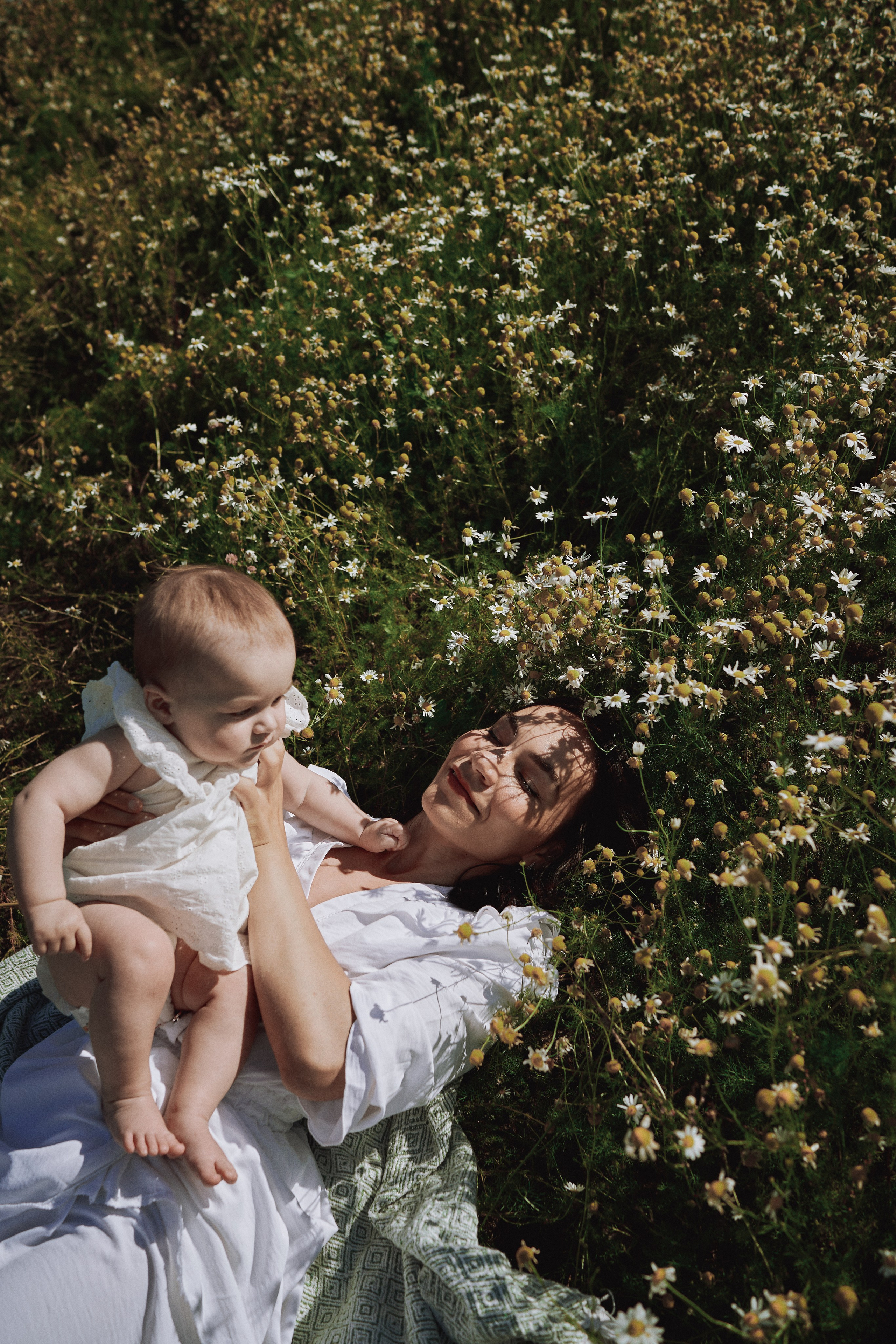 Поле с ромашками. Фотограф в Санкт-Петербурге | Аня Маленчук