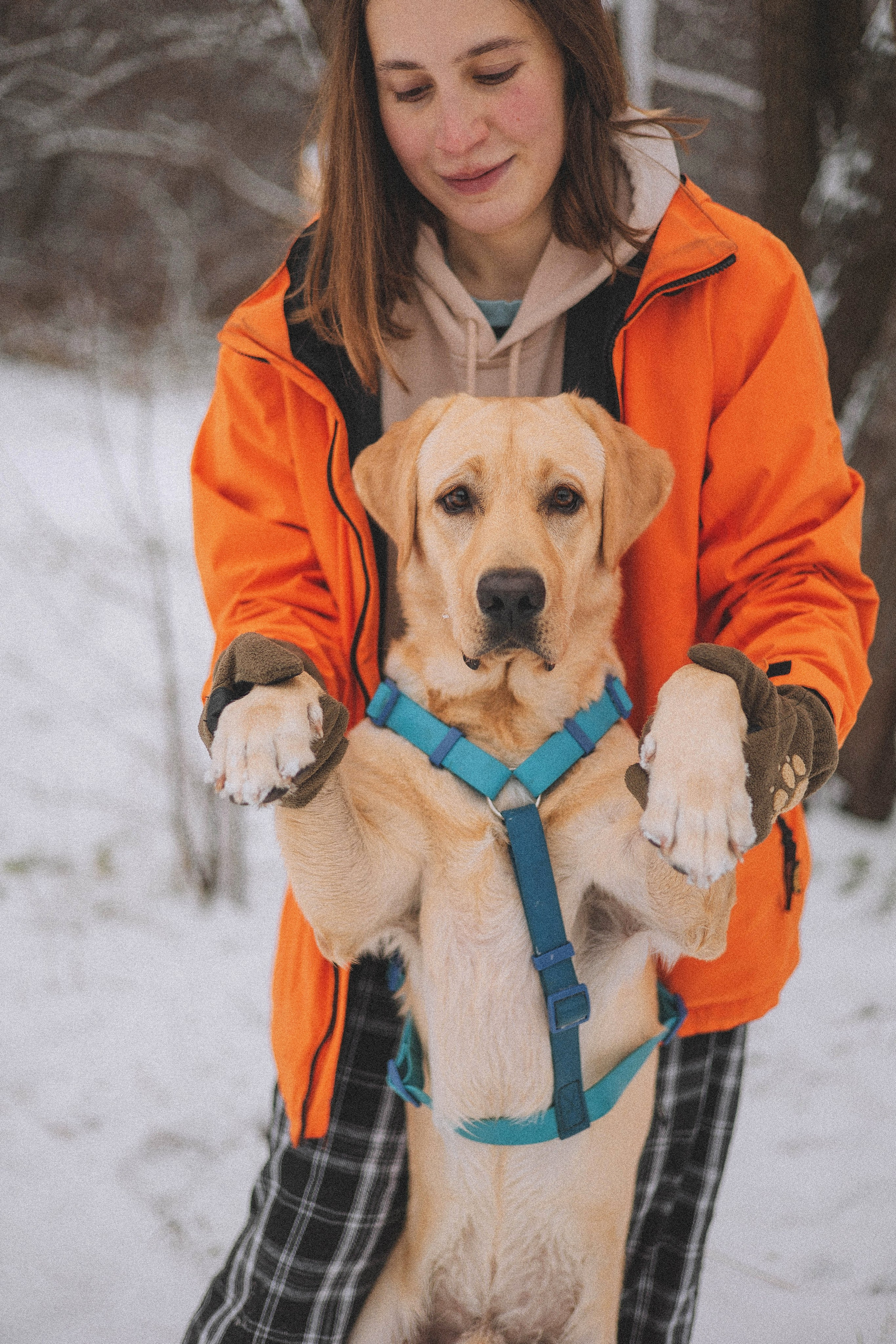 Маргарита и Варди. Фотограф-анималист Богданова Полина