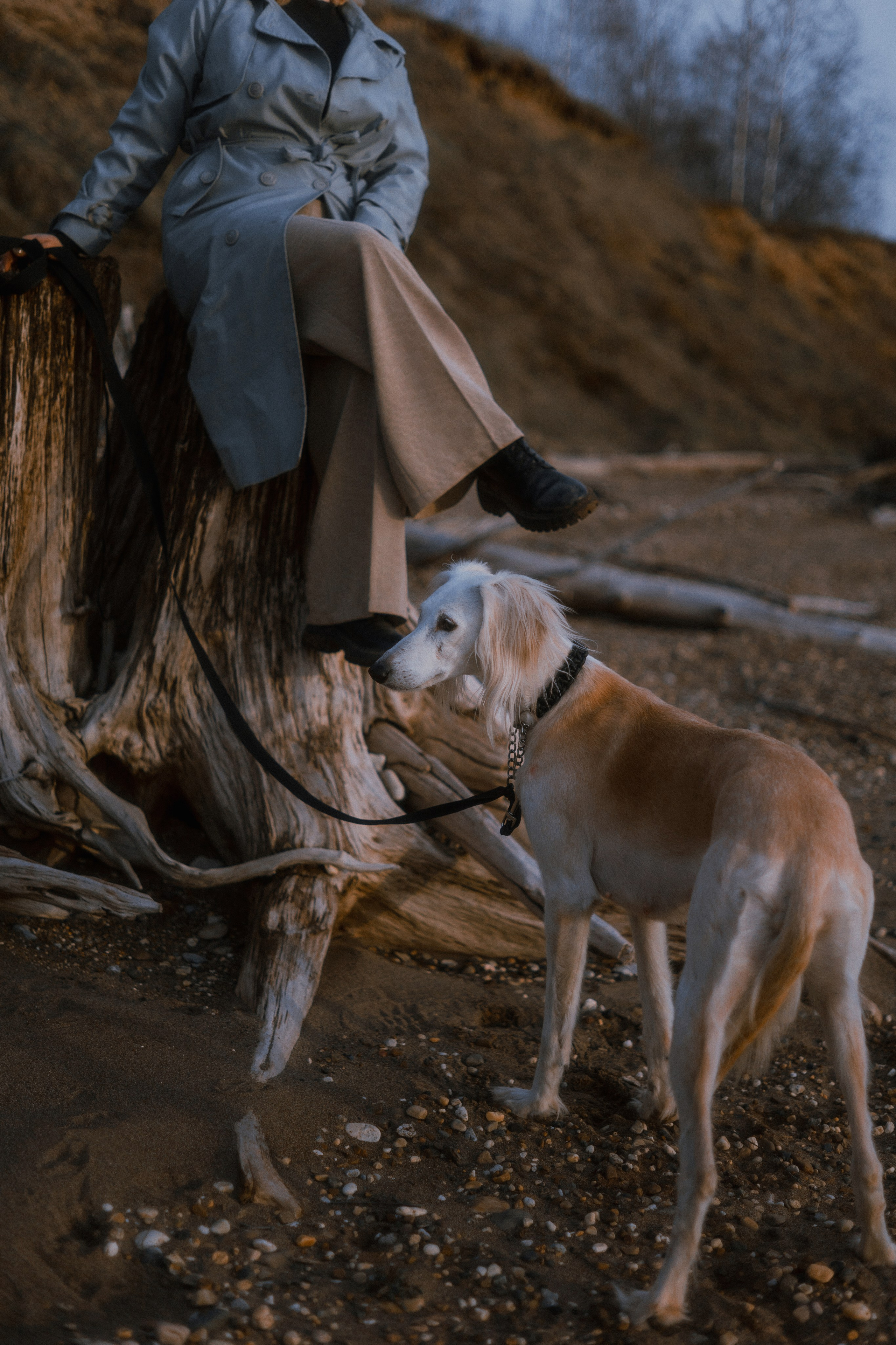 Настя и Бейда. Фотограф-анималист Богданова Полина
