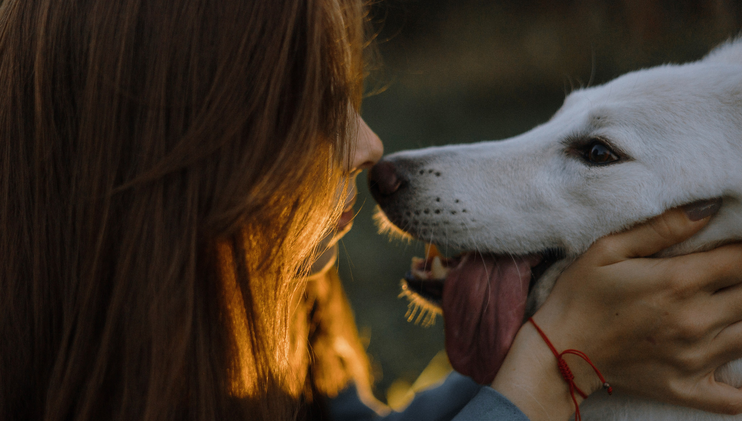 Вика и Уля. Фотограф-анималист Богданова Полина