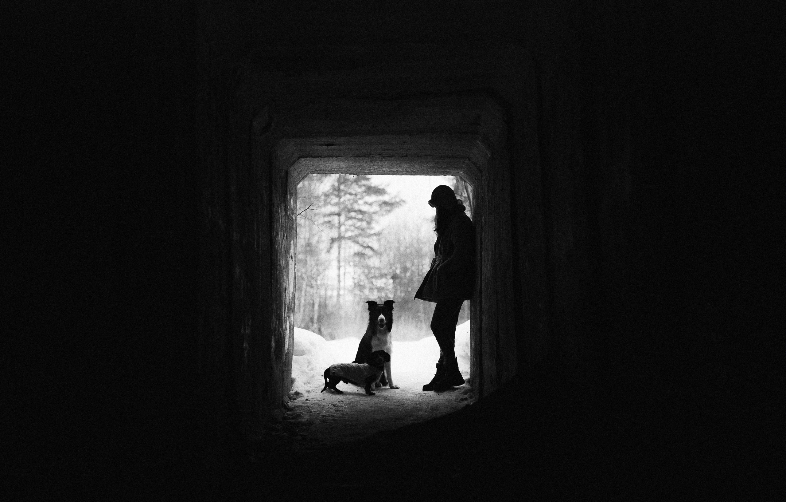 Маша, Рэм и Ньютон. Фотограф-анималист Богданова Полина