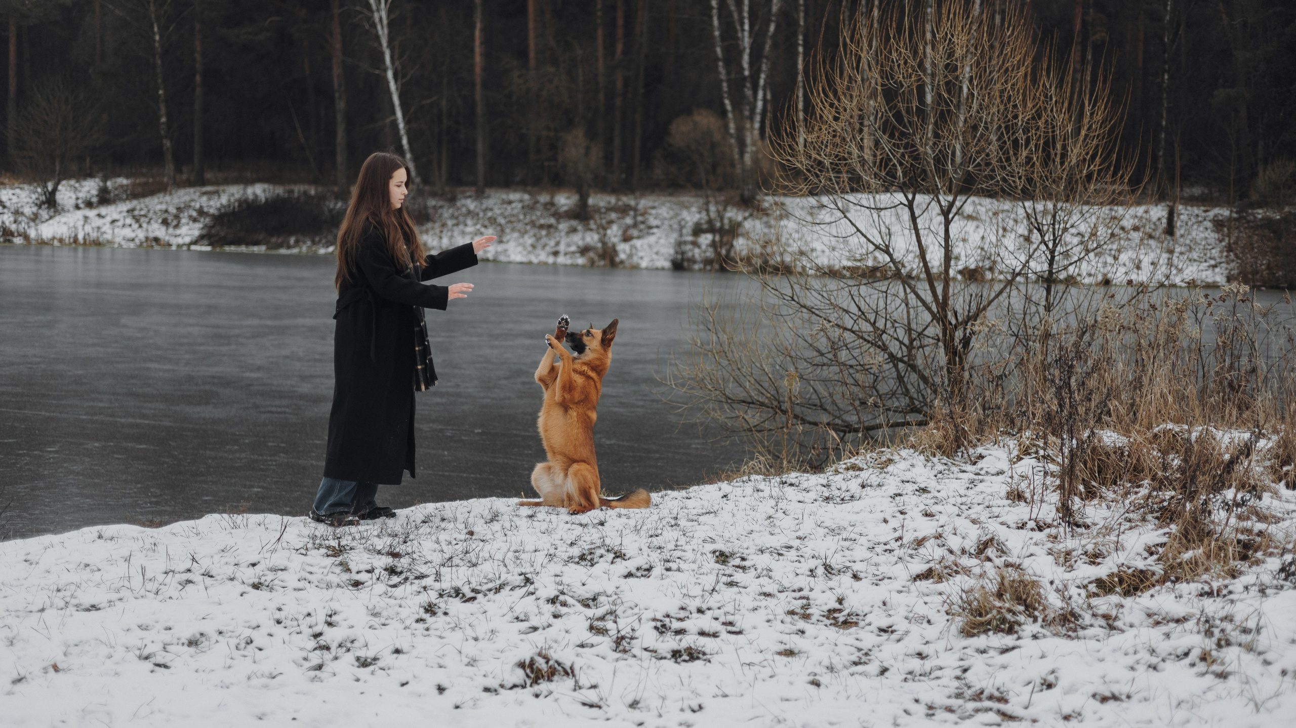 Юля, Лара и Йоми. Фотограф-анималист Богданова Полина