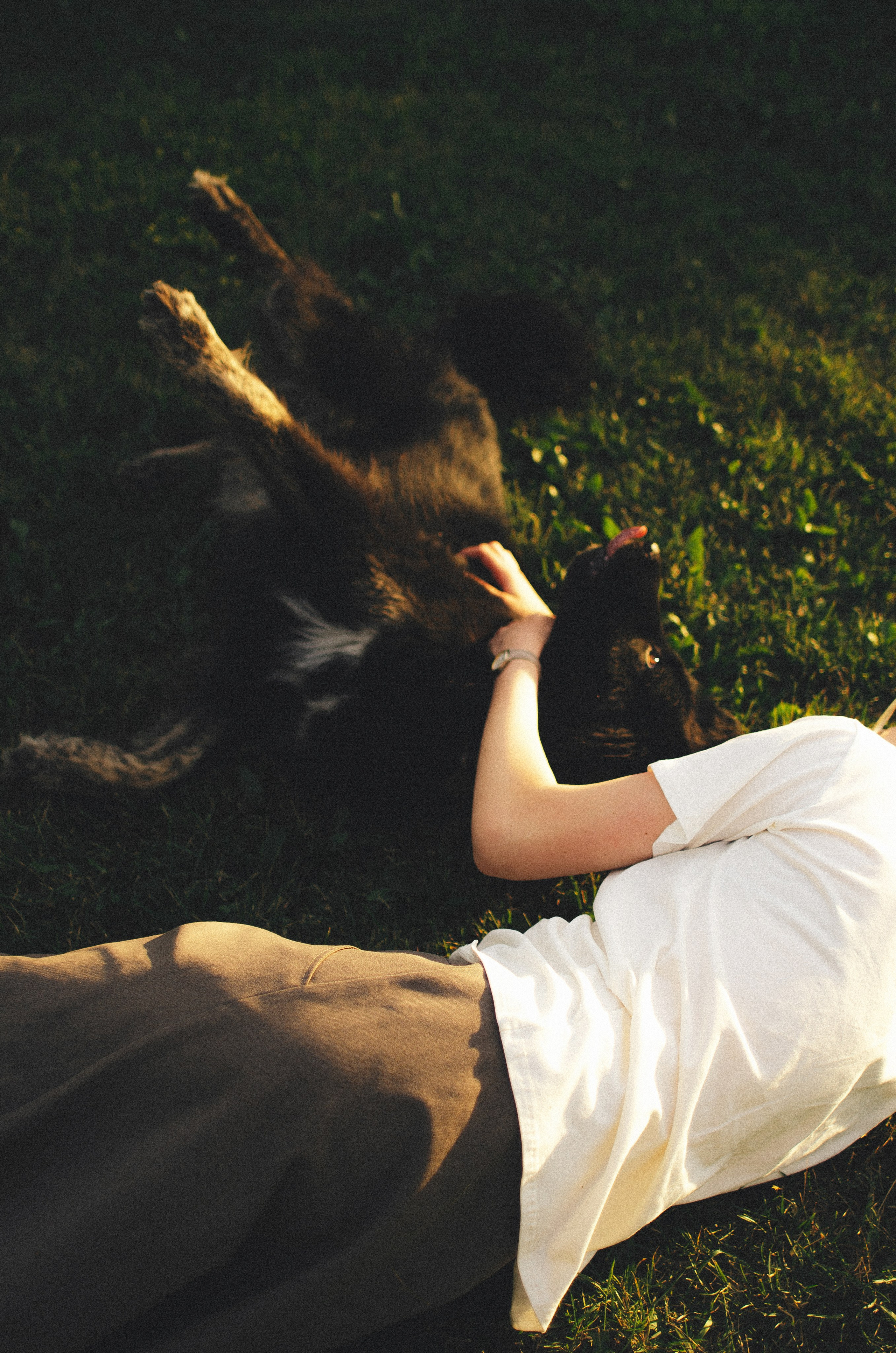 Анна и Марко. Фотограф-анималист Богданова Полина