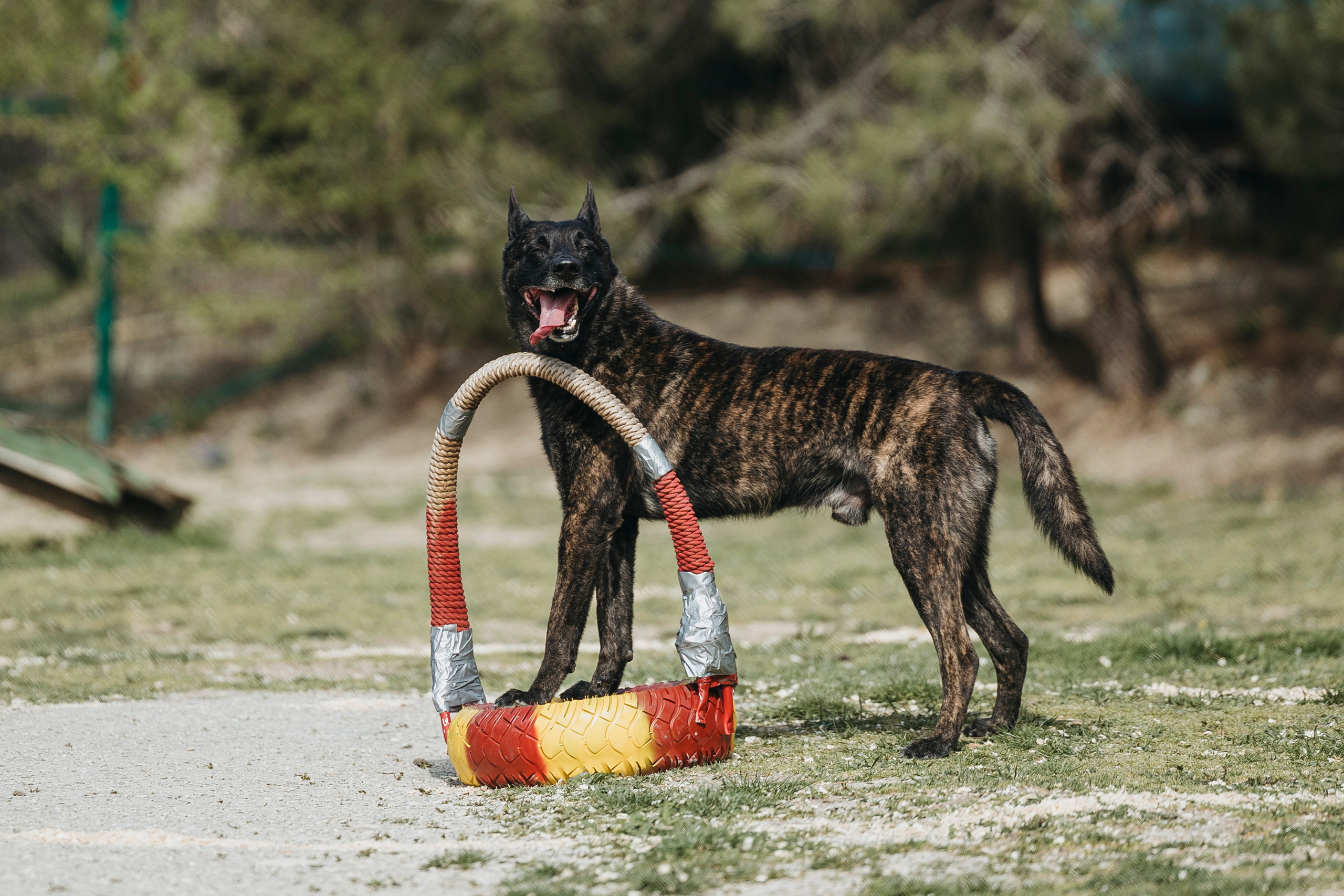 Геленджик Мондьоринг. Фотограф-анималист Анна Маринич