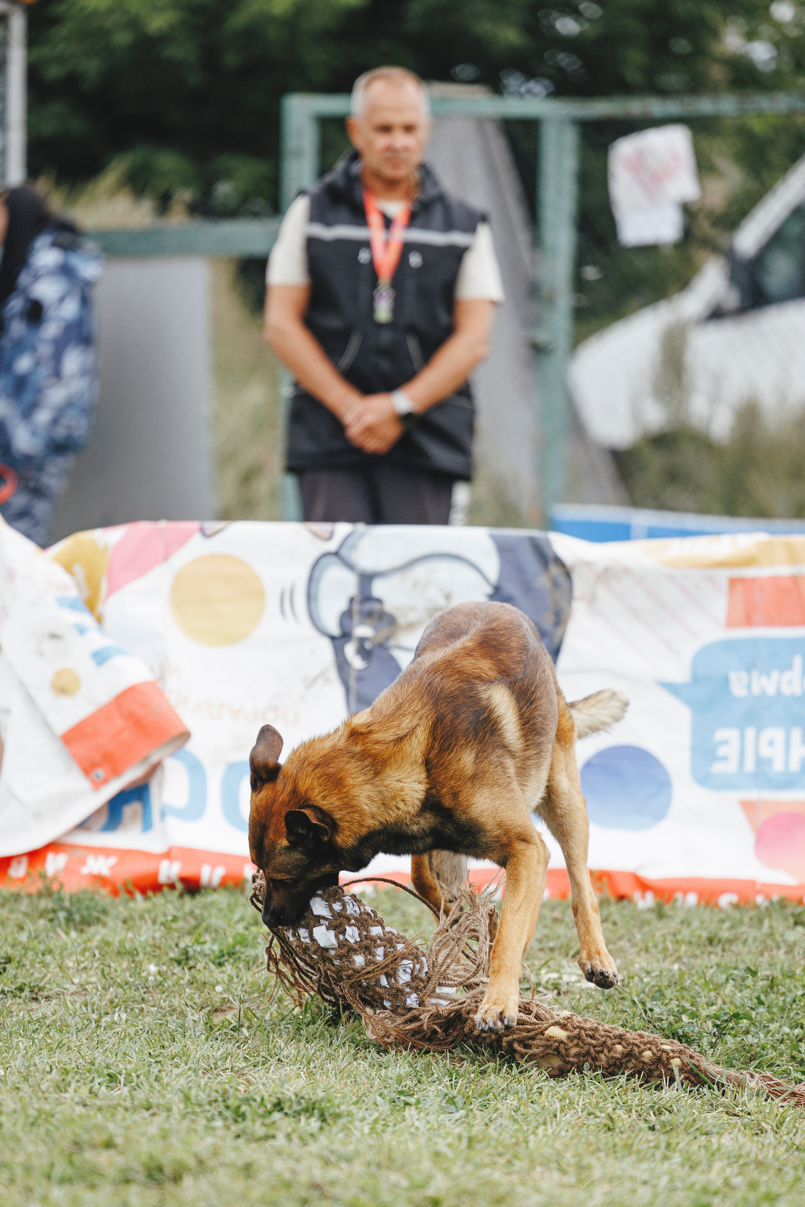 08.08.25-10.08.25 ЧР по мондьорингу г. Вологда. Фотограф-анималист Анна Маринич