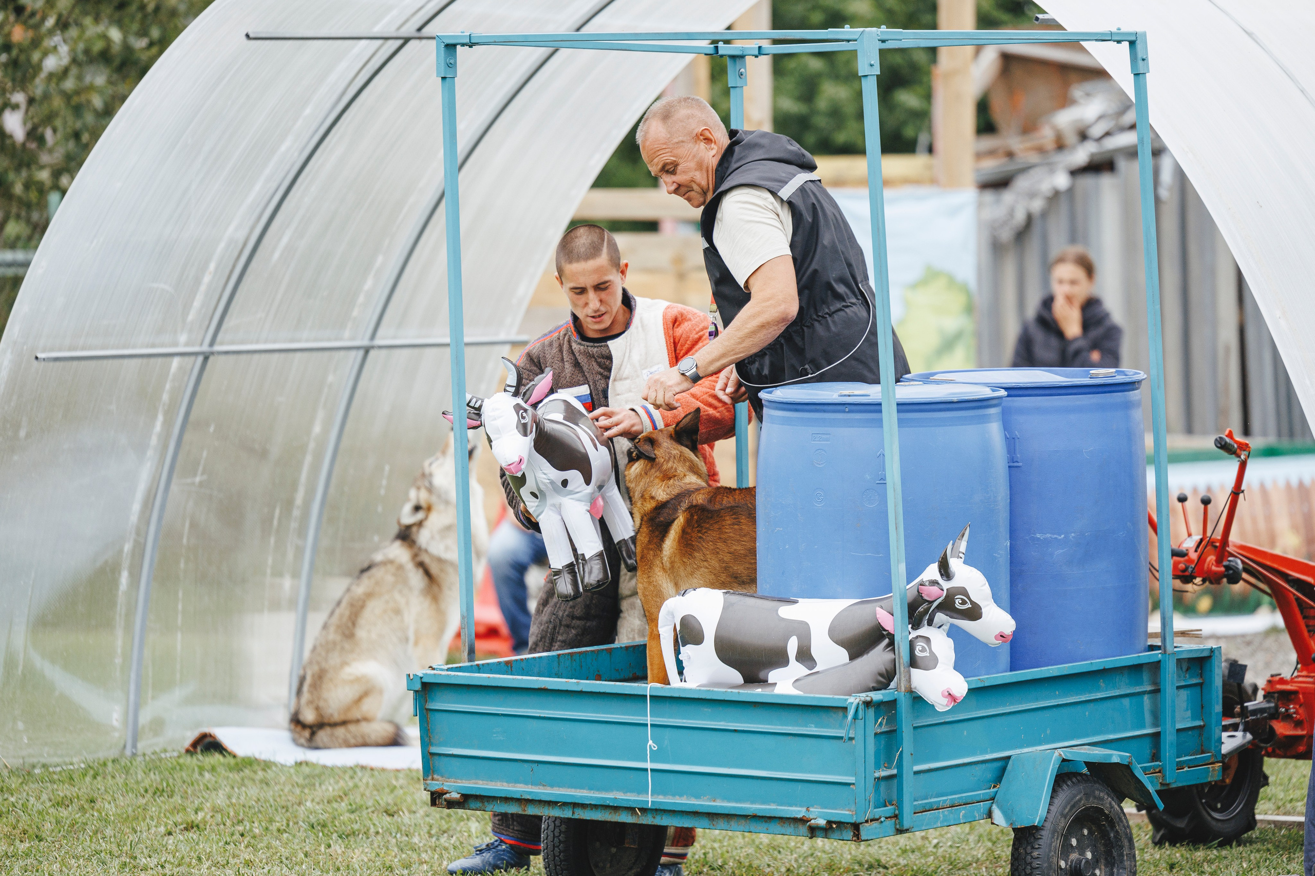 08.08.25-10.08.25 ЧР по мондьорингу г. Вологда. Фотограф-анималист Анна Маринич