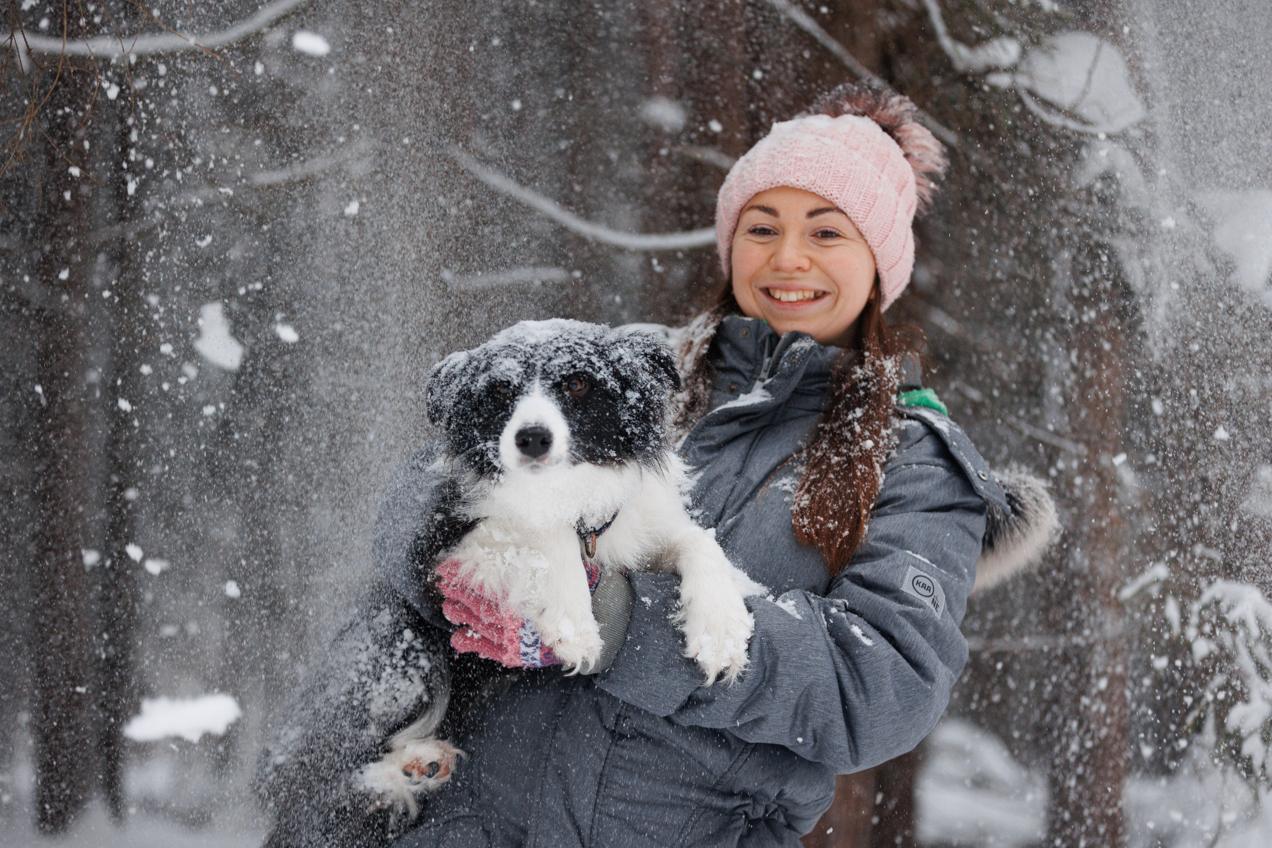 Даша и компания. Фотограф анималист Кристина Карпова, Москва