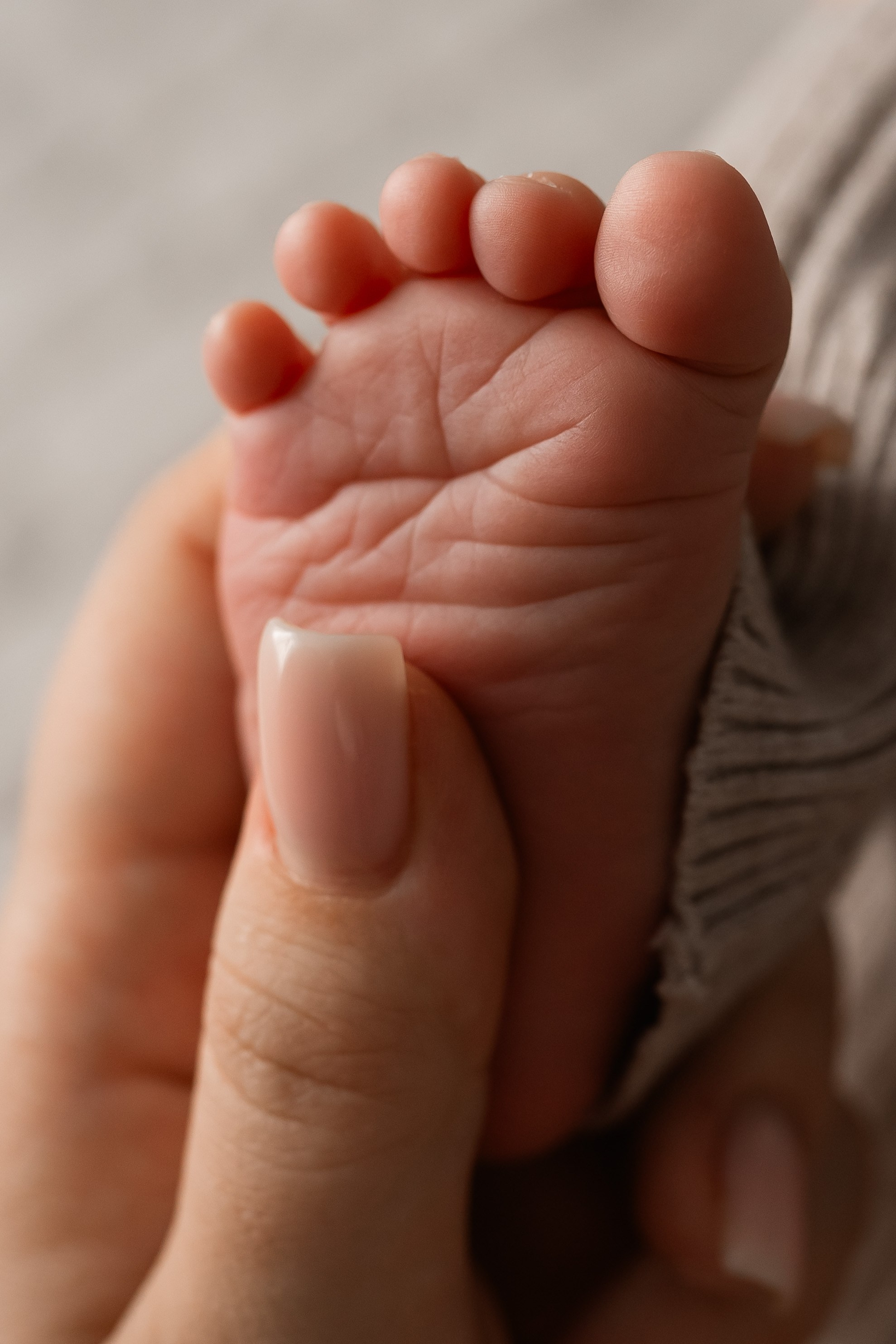 Новорожденные пакет Я ДОМА. Фотограф новорожденных г. Рязань, детский и семейный фотограф