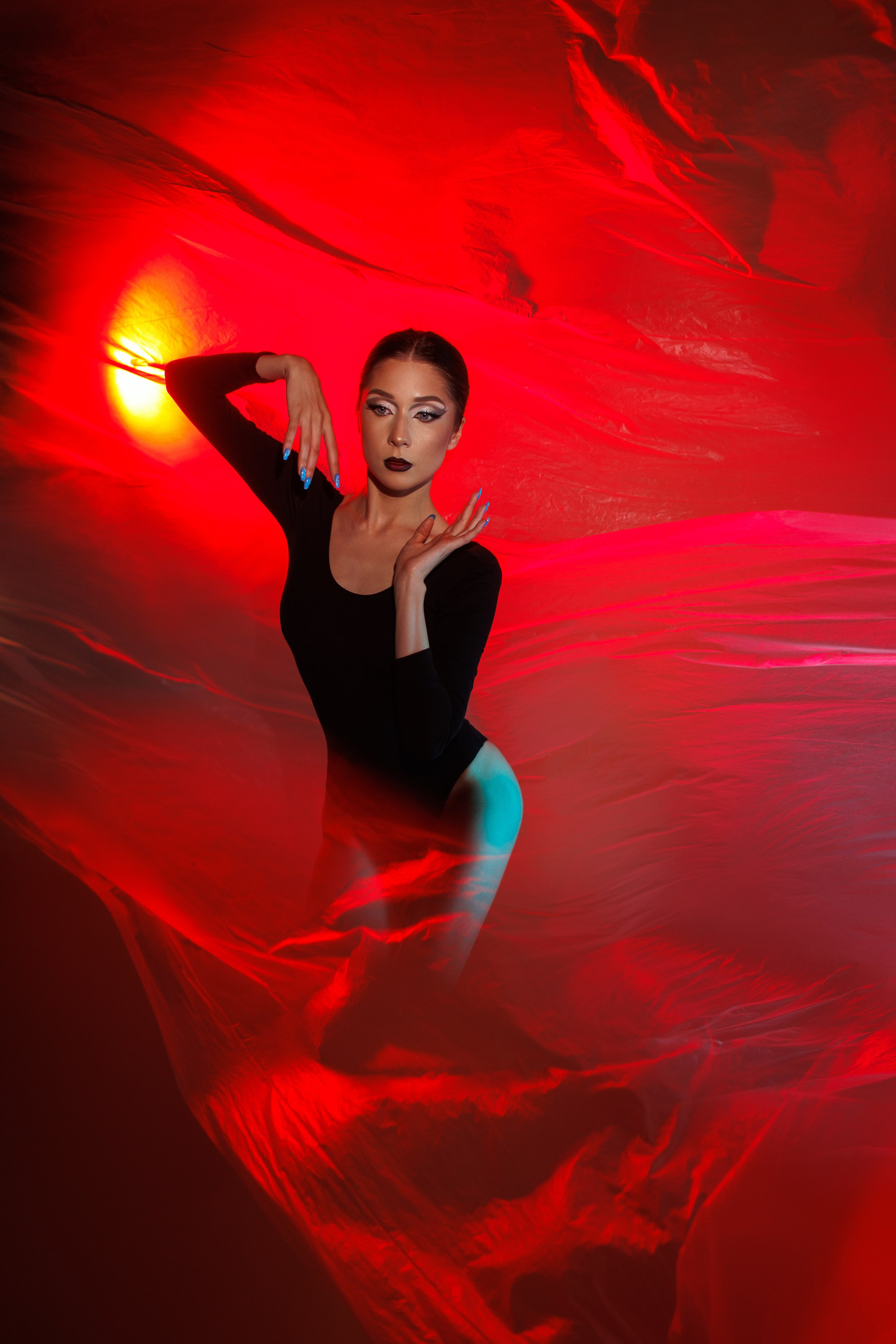 Черный лебедь. Марковкина КрисТина