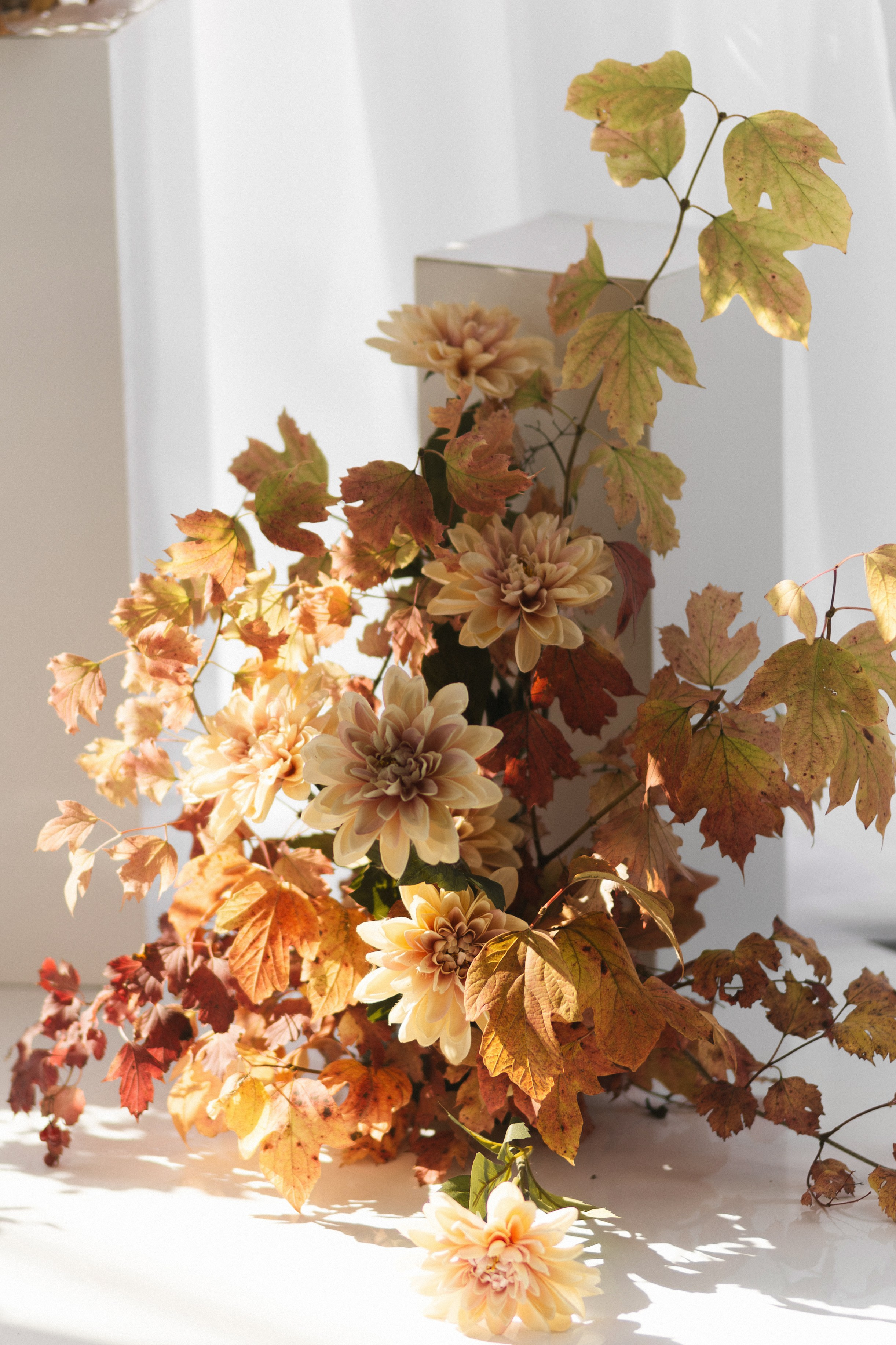 «В ОБЪЯТИЯХ ОСЕНИ». Maria Startseva Photo