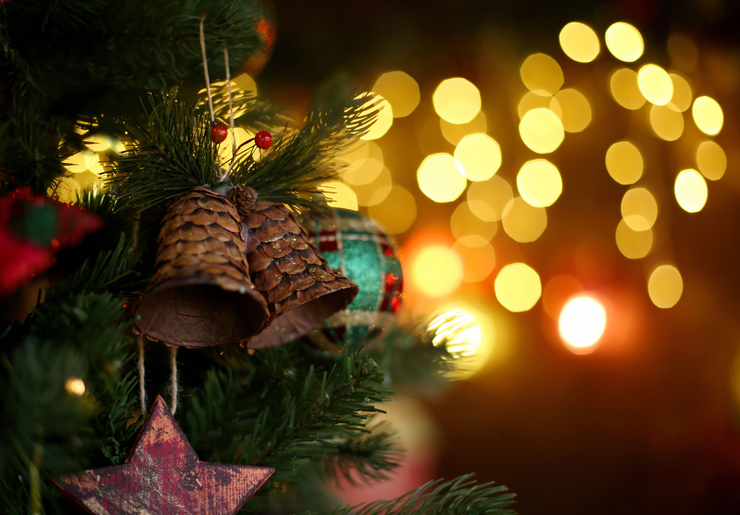 Фотостудия Леонардо. Семейный и детский фотограф Анна Петракова