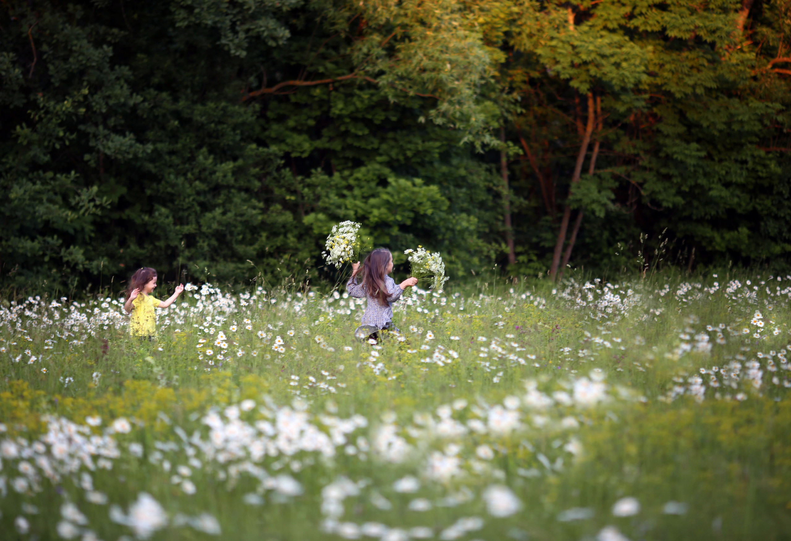 Семейный и детский фотограф Анна Петракова